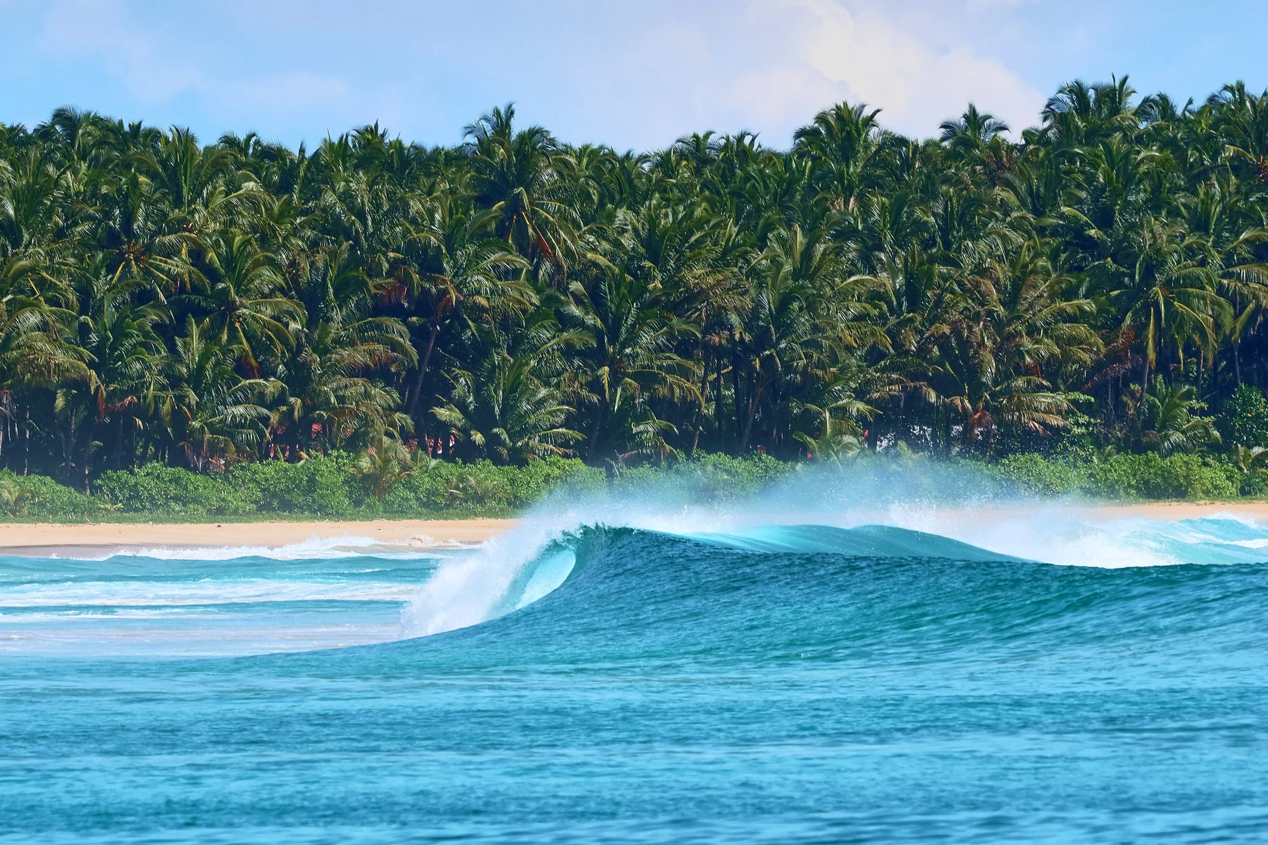 Lefts! 