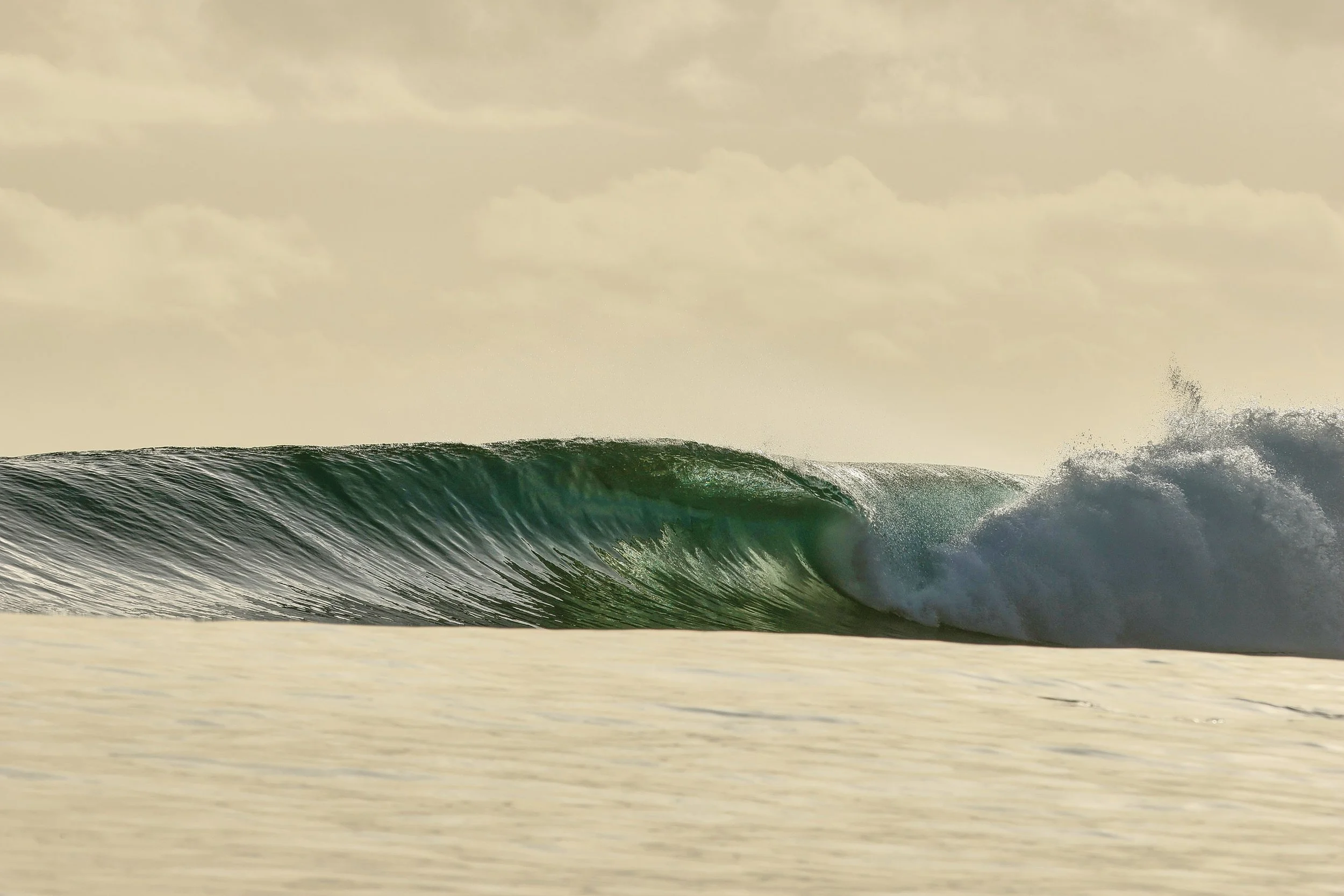  Mentawai gold 