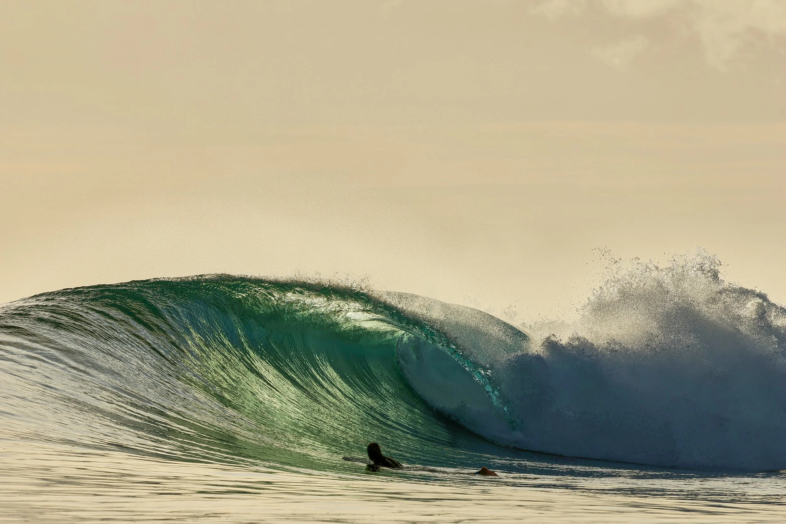  Someone say summer session 