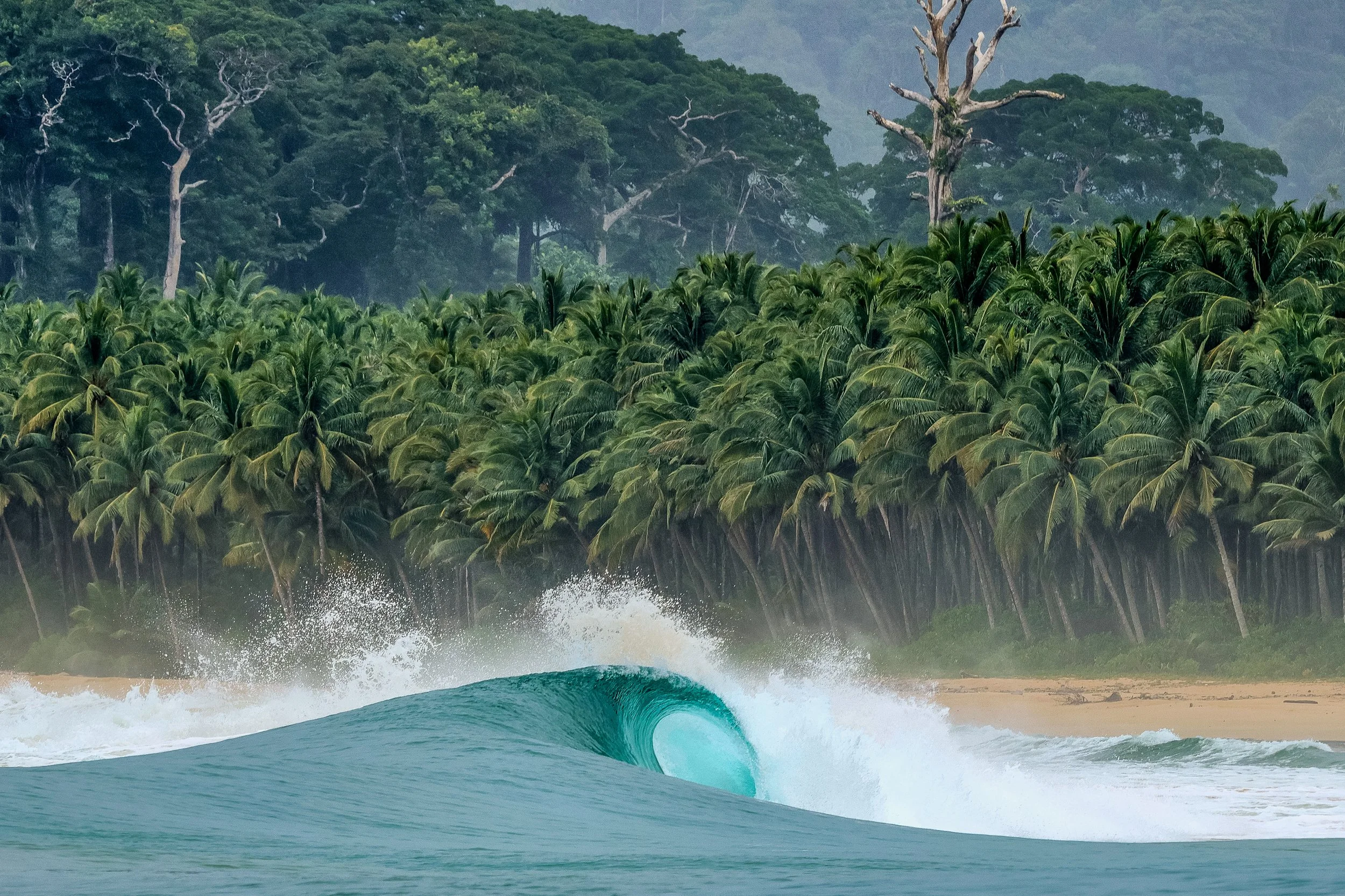 27TH DECEMBER – 12TH JANUARY | SUMMER SESSION 