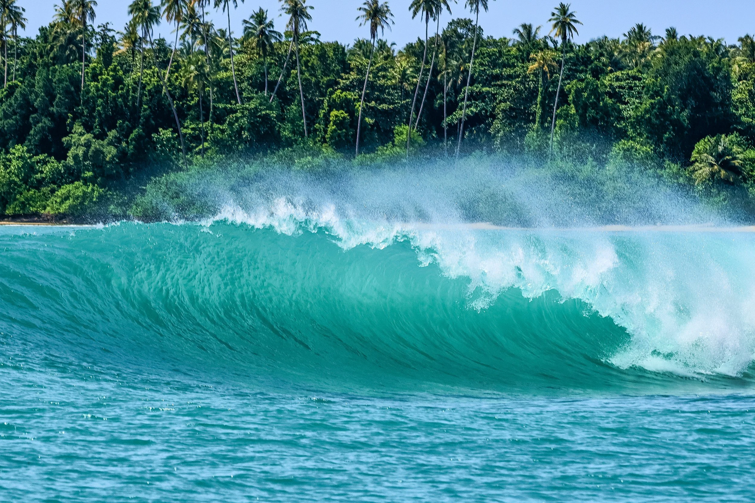  January turning it on 