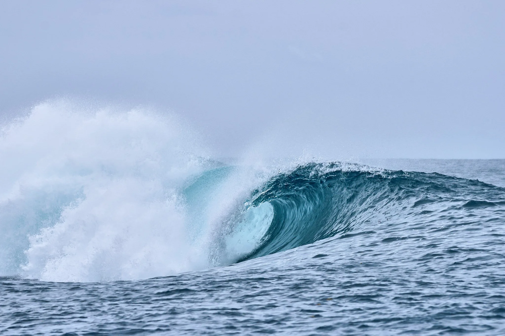  Lefts in regular season 