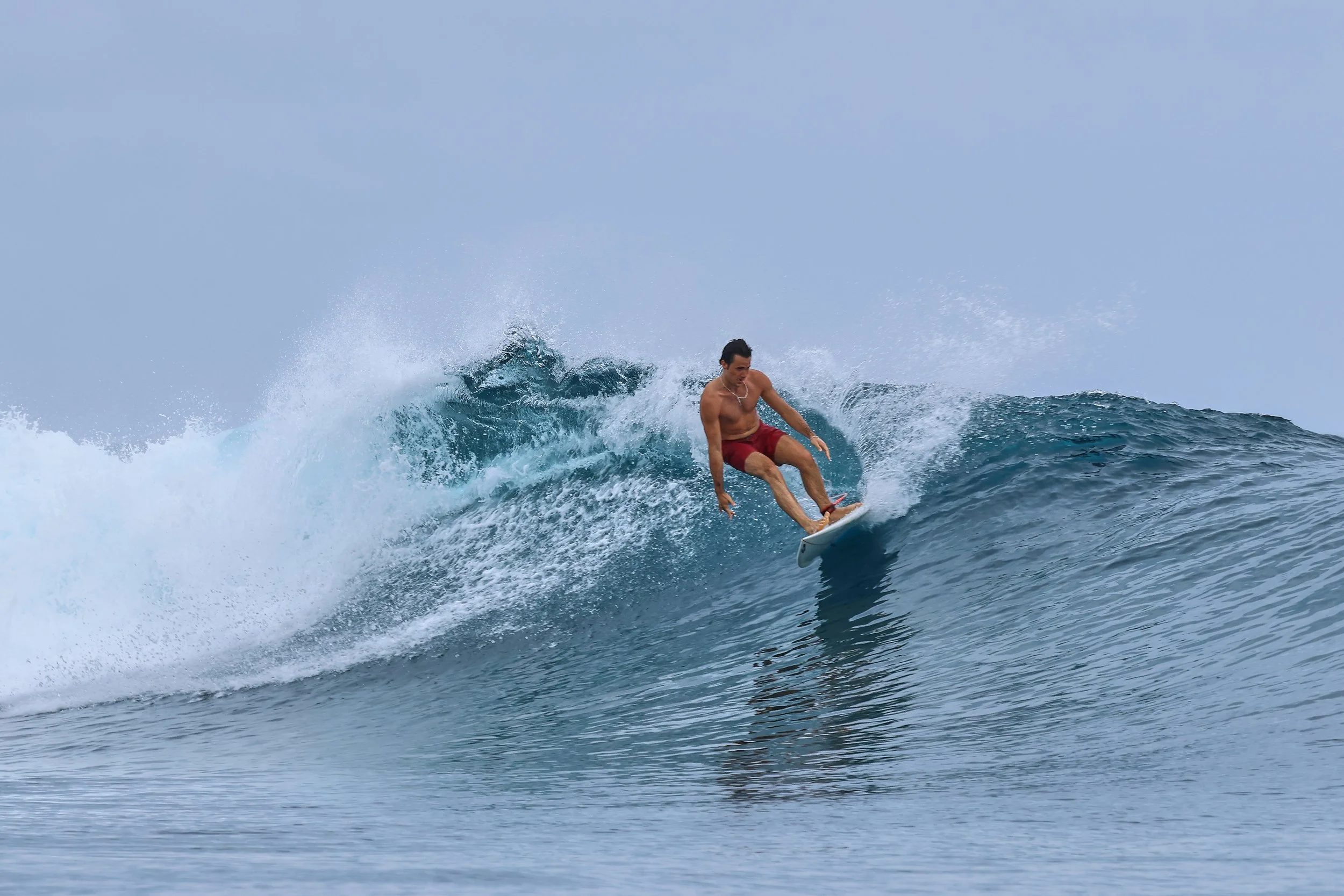  The seal and His flare 