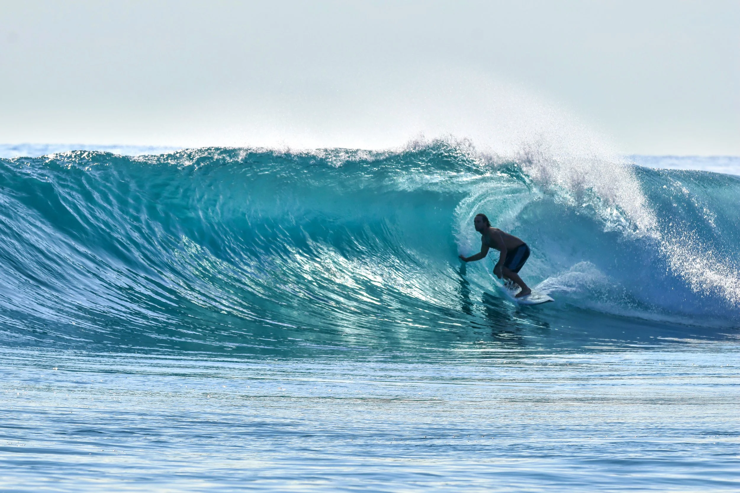  Lad Dog out the pound 