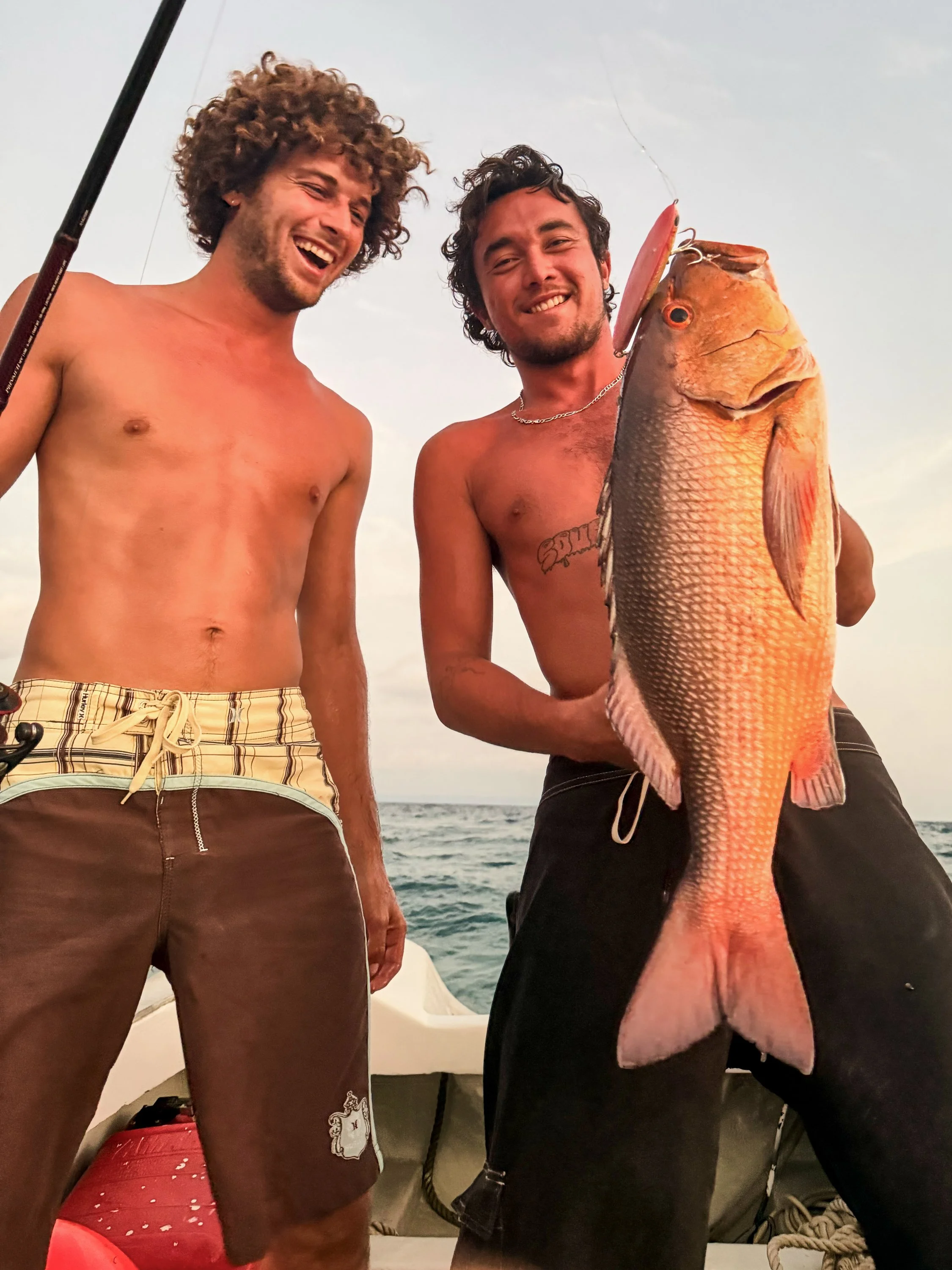  Never miss a dusk flick 