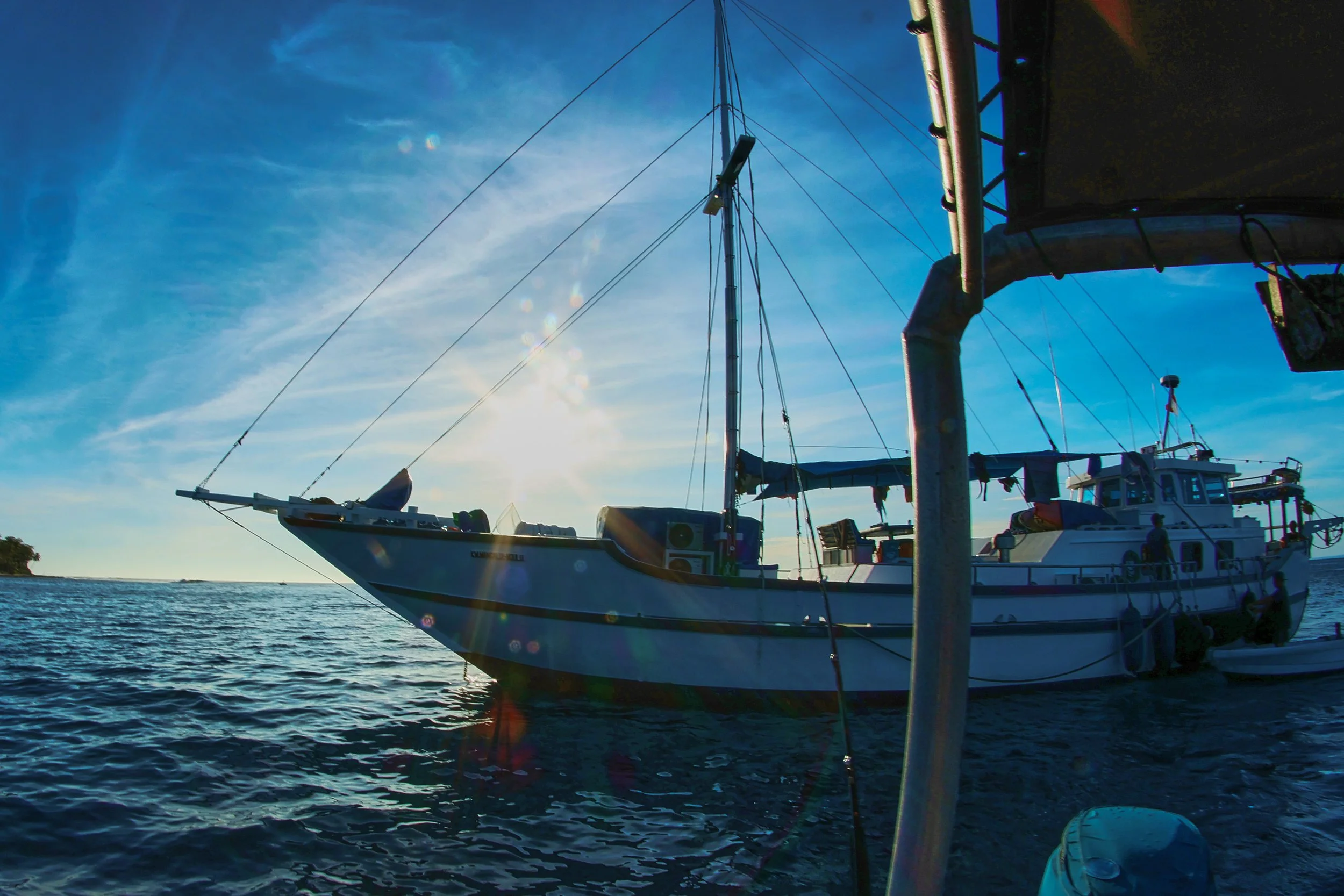  Ageing like Red Wine 