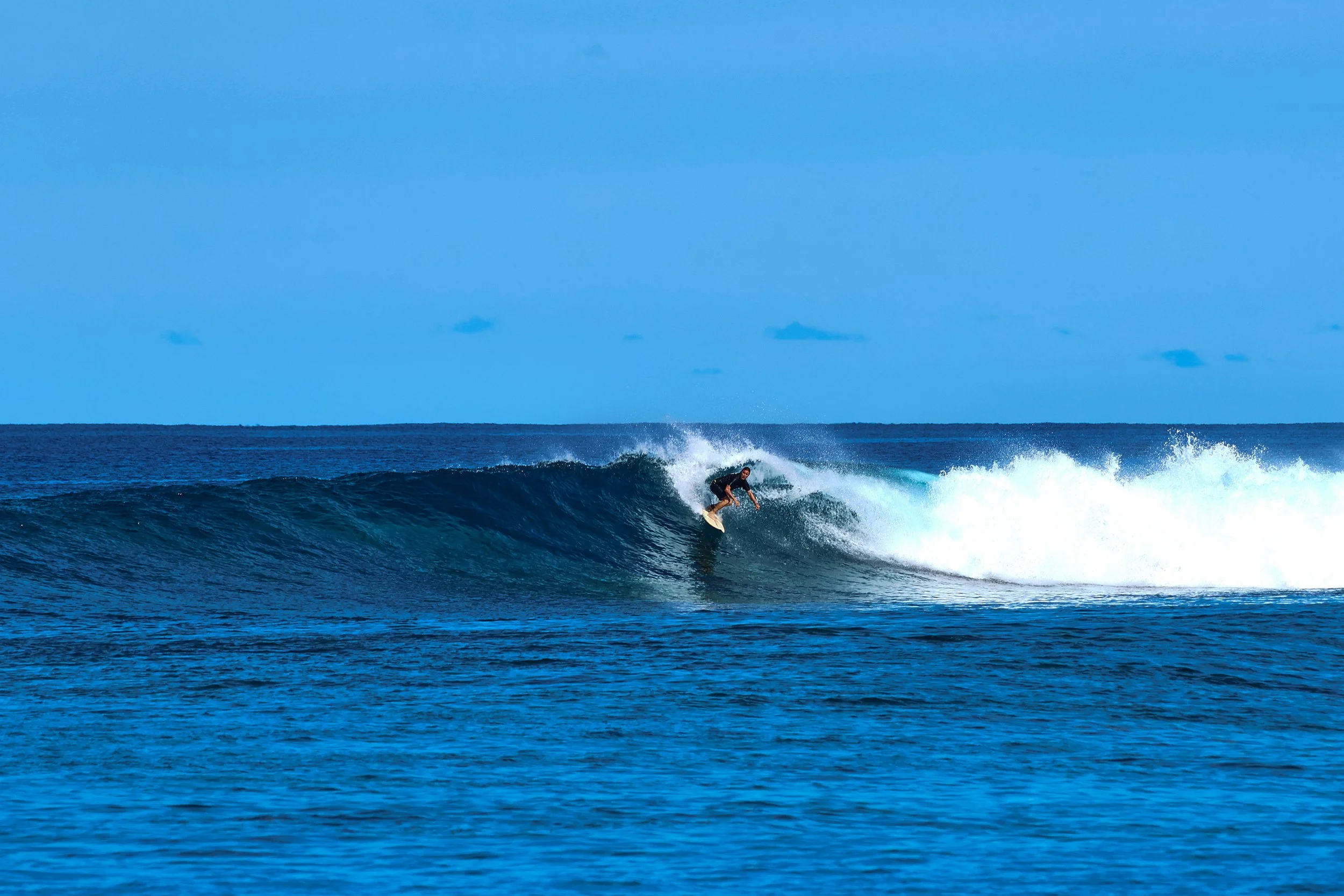  Locky lives for rights 