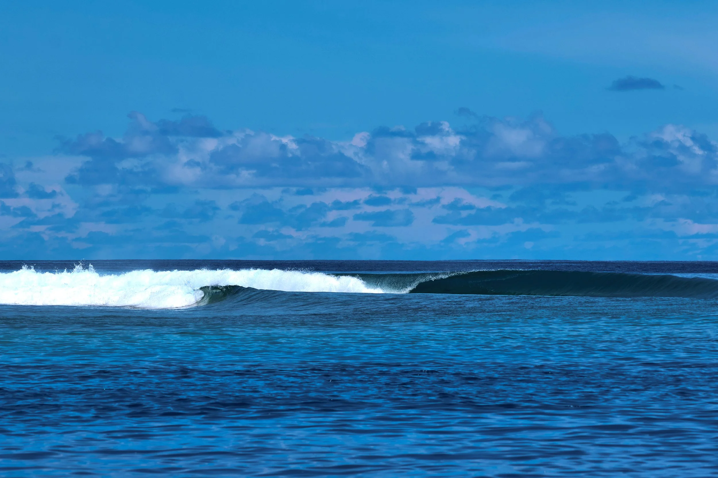  More southern perfection 