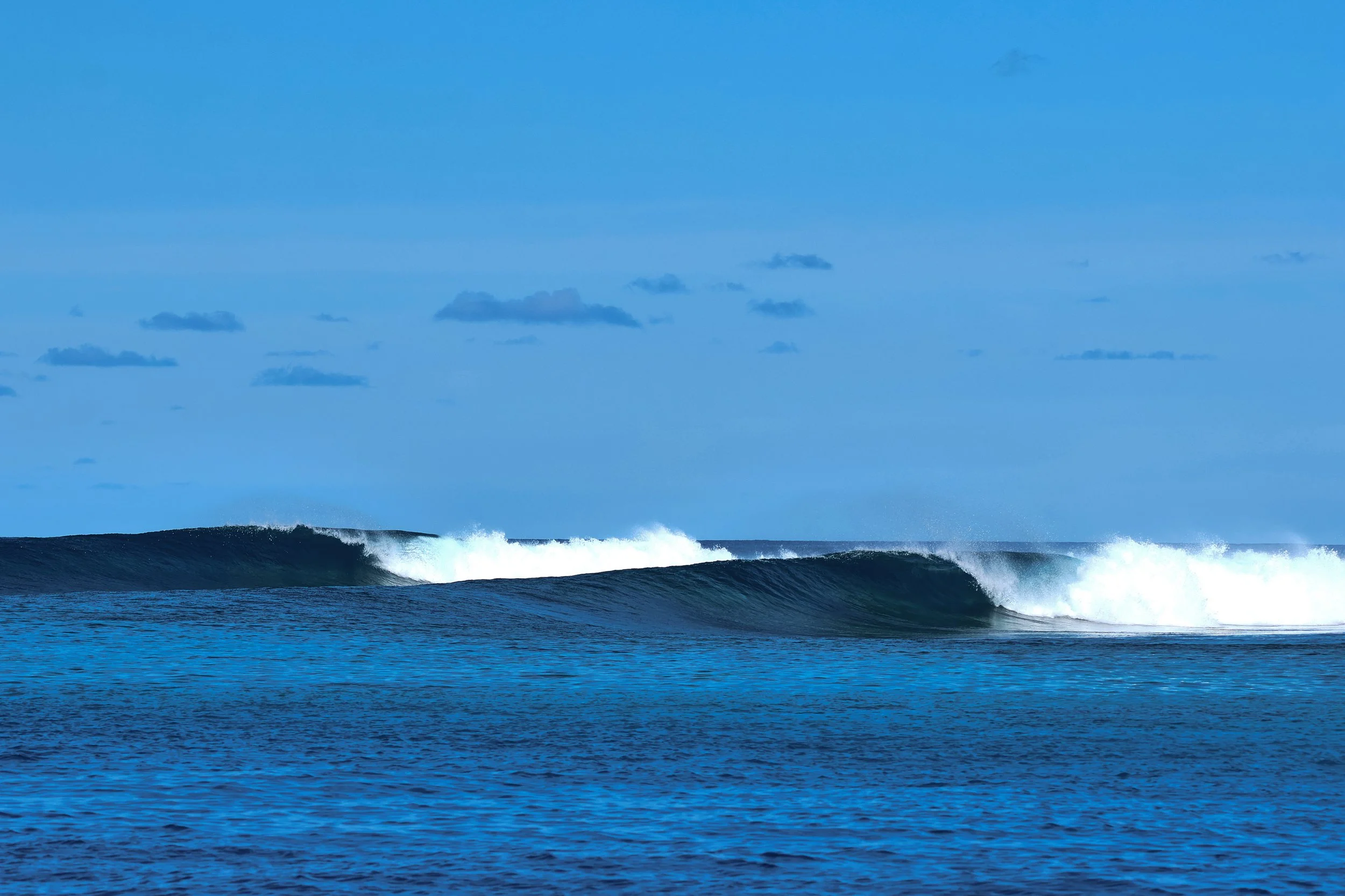  THAT WILL F$#KING DO!!! 