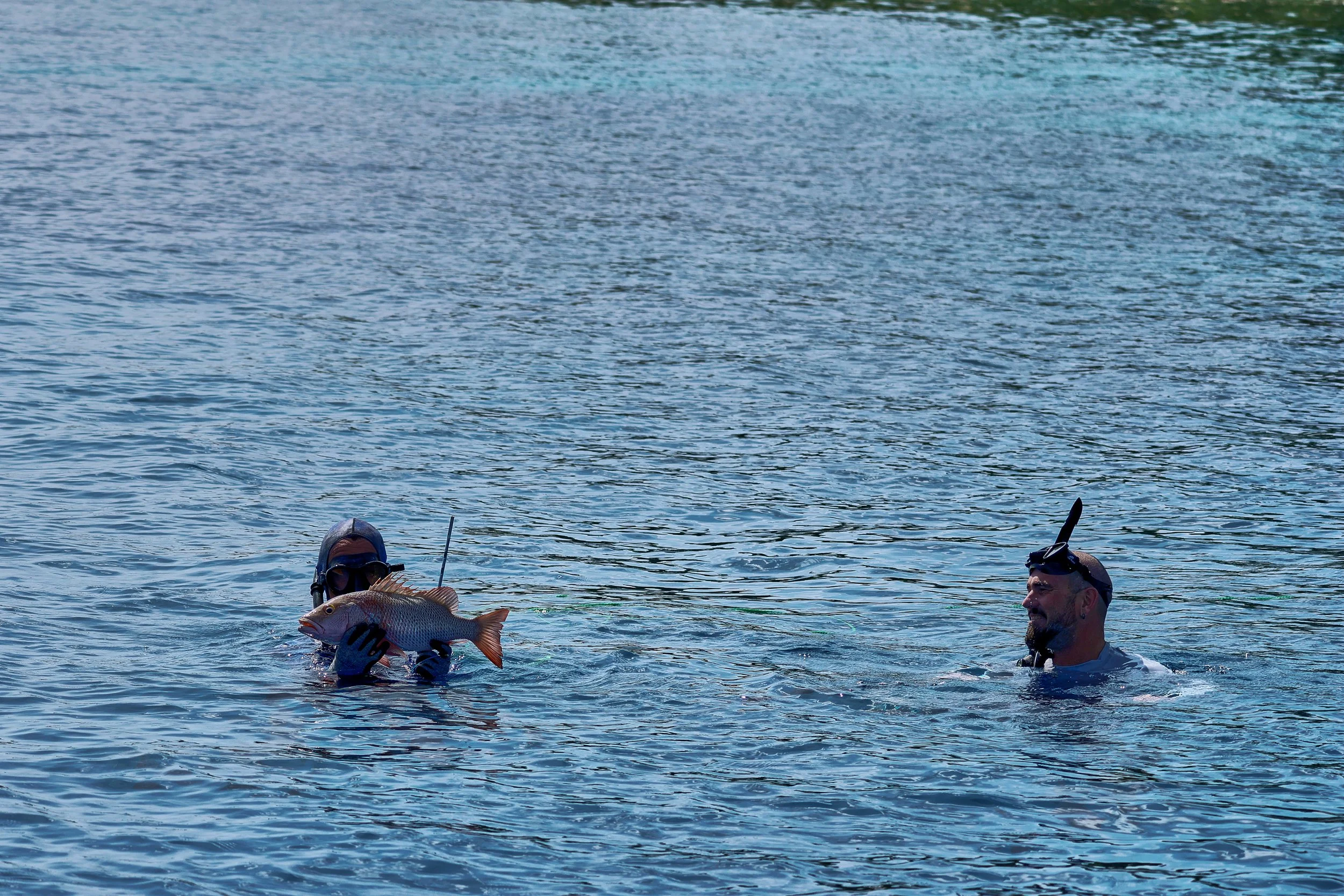  Cam on the deep dive 