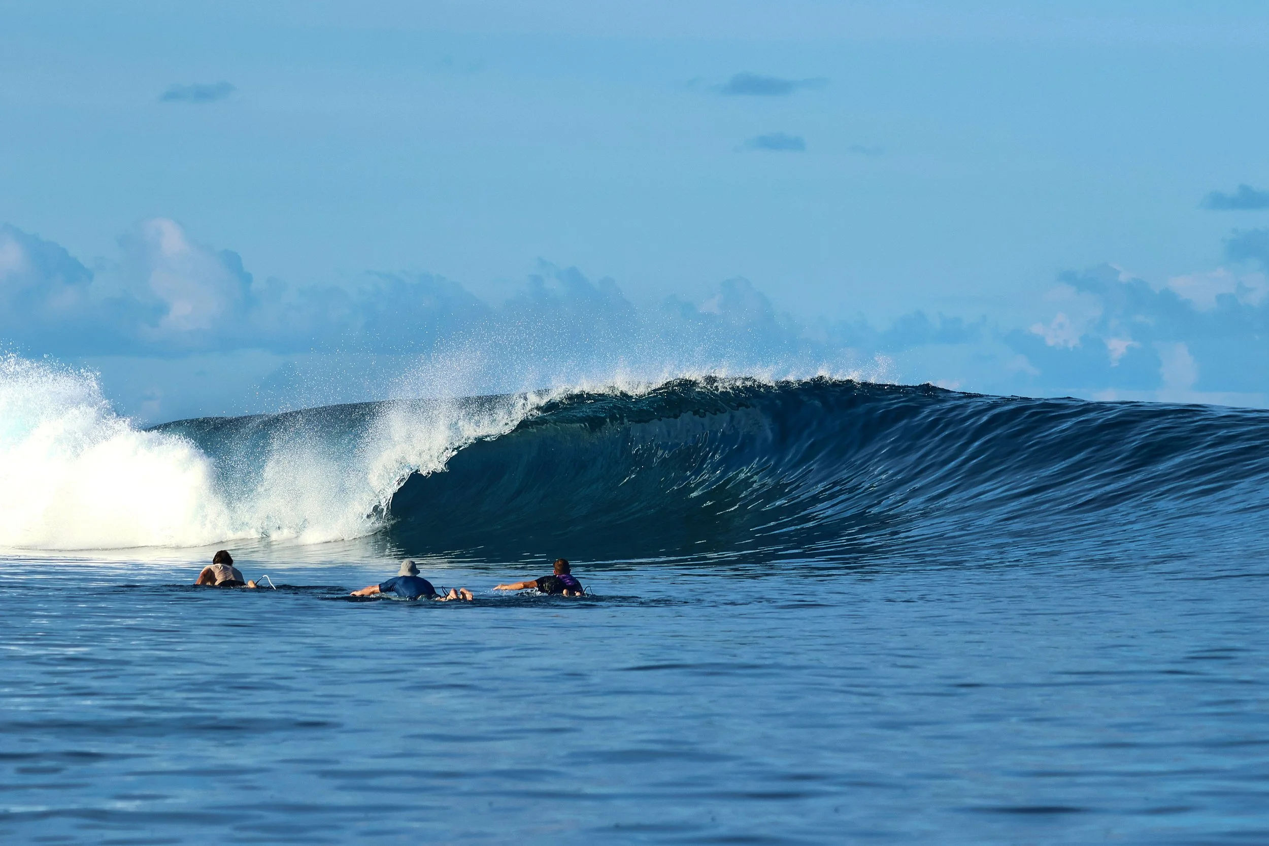 20th – 31st MARCH | BOAGS TURNS 50!