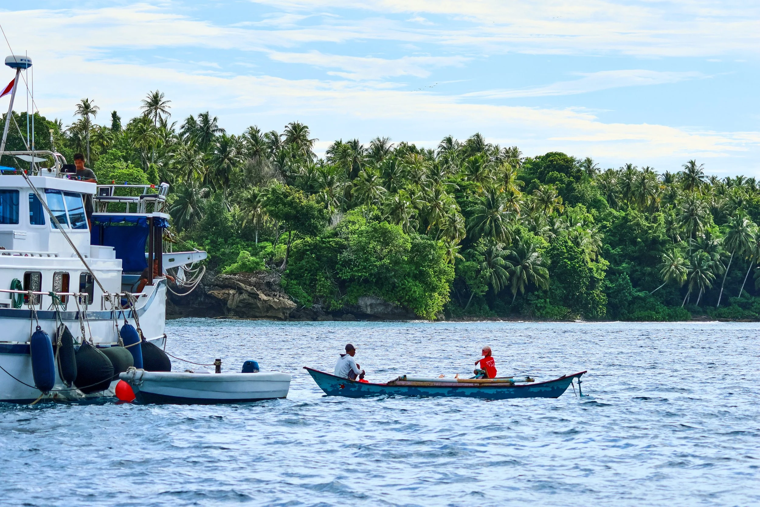  Ada ikan 