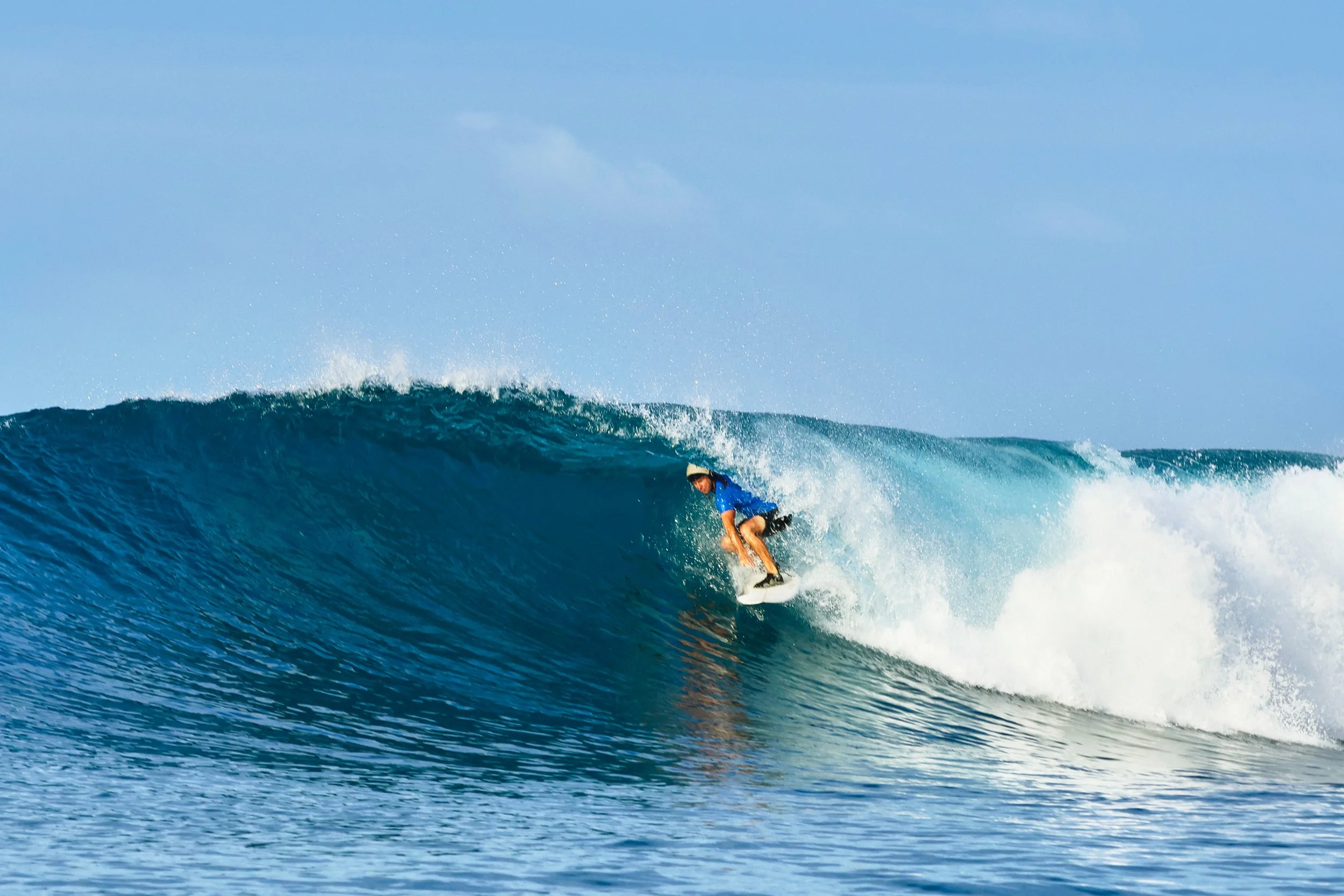  Sumatra shade 
