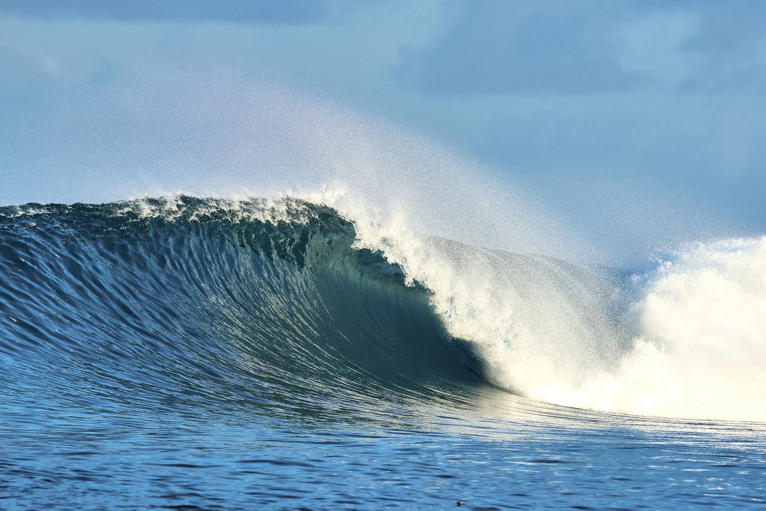 Indo dreaming 
