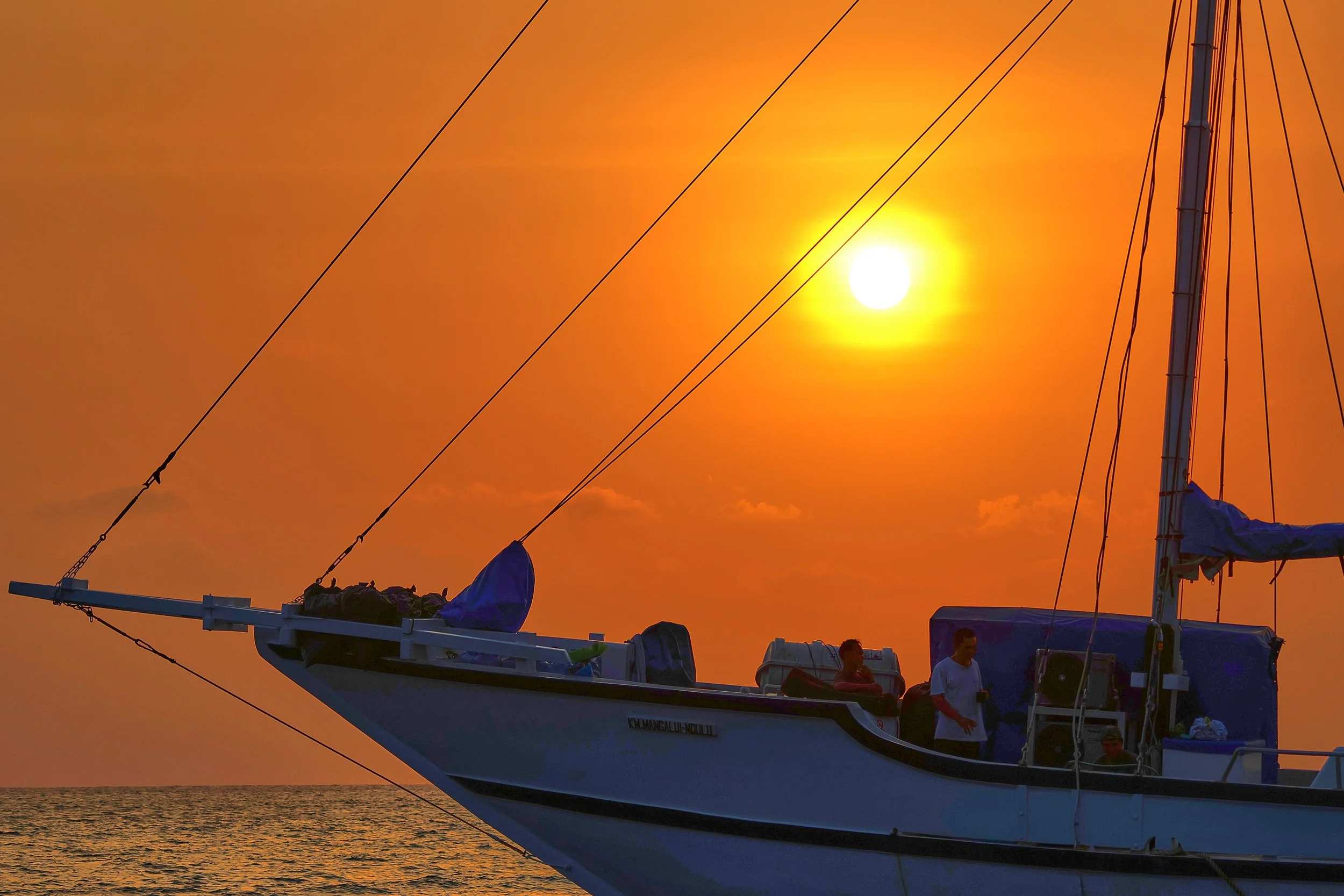  Red night sailors delight 
