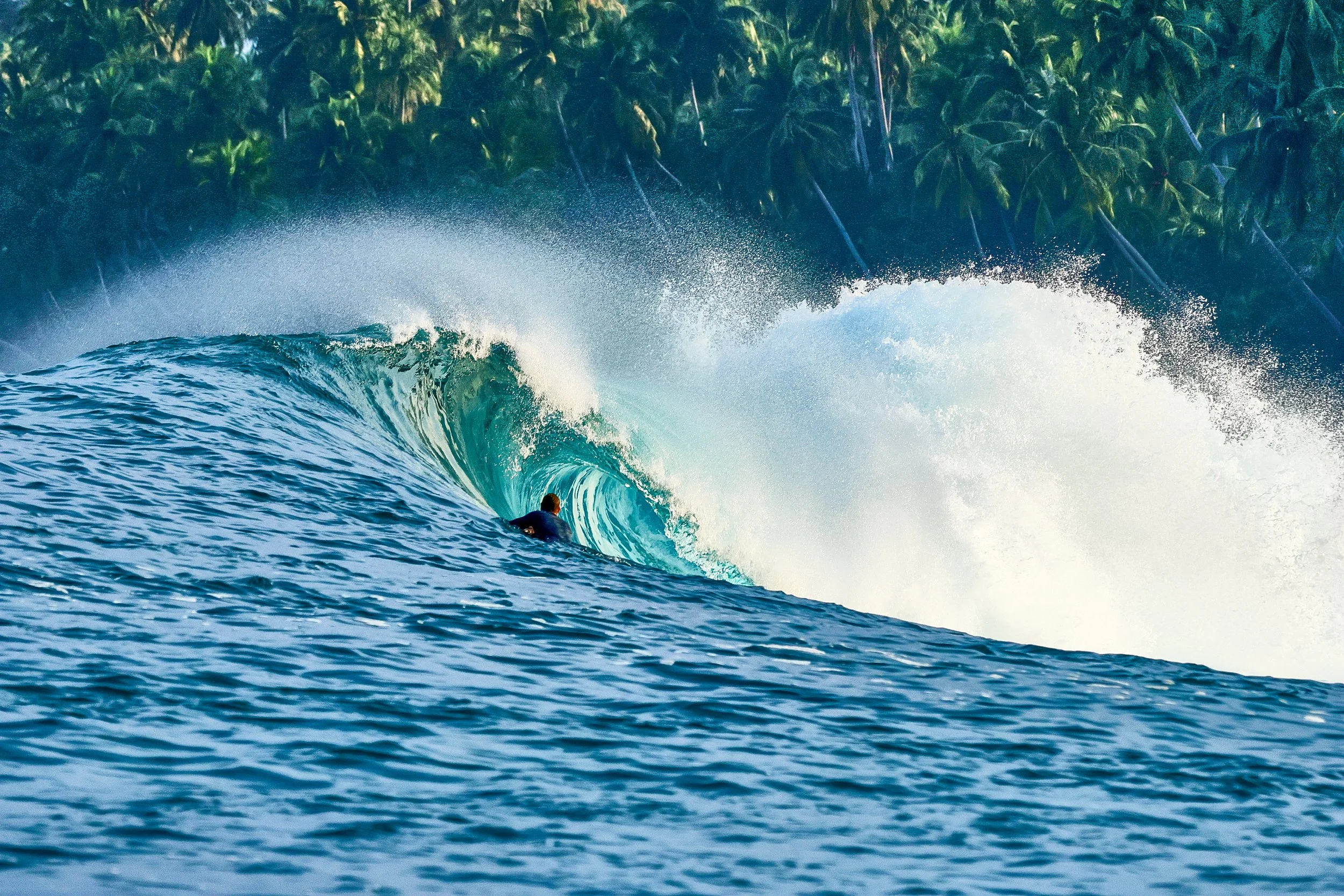  Mind surfing 