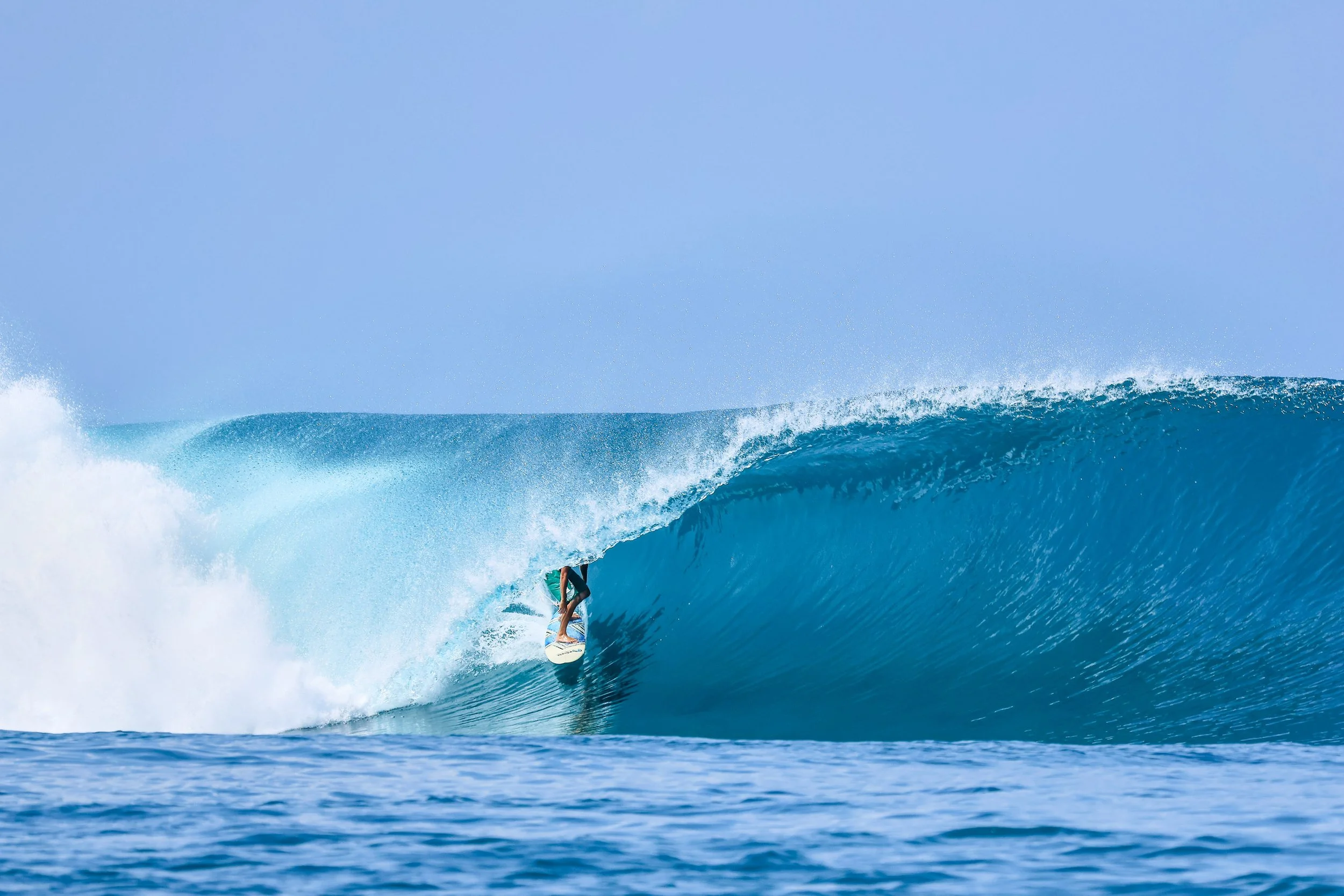 9th – 20th October | 2 - 6 foot