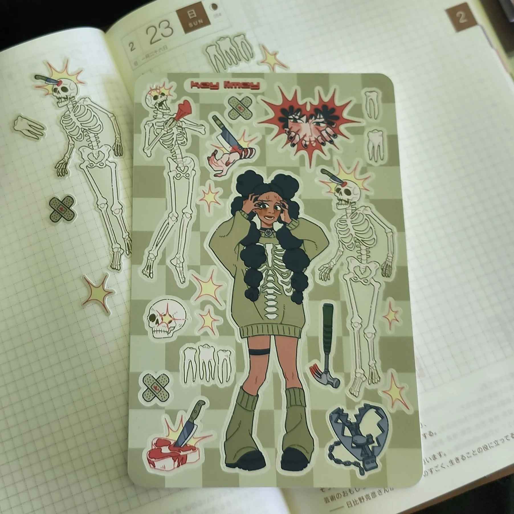 20250304_115303.jpeg