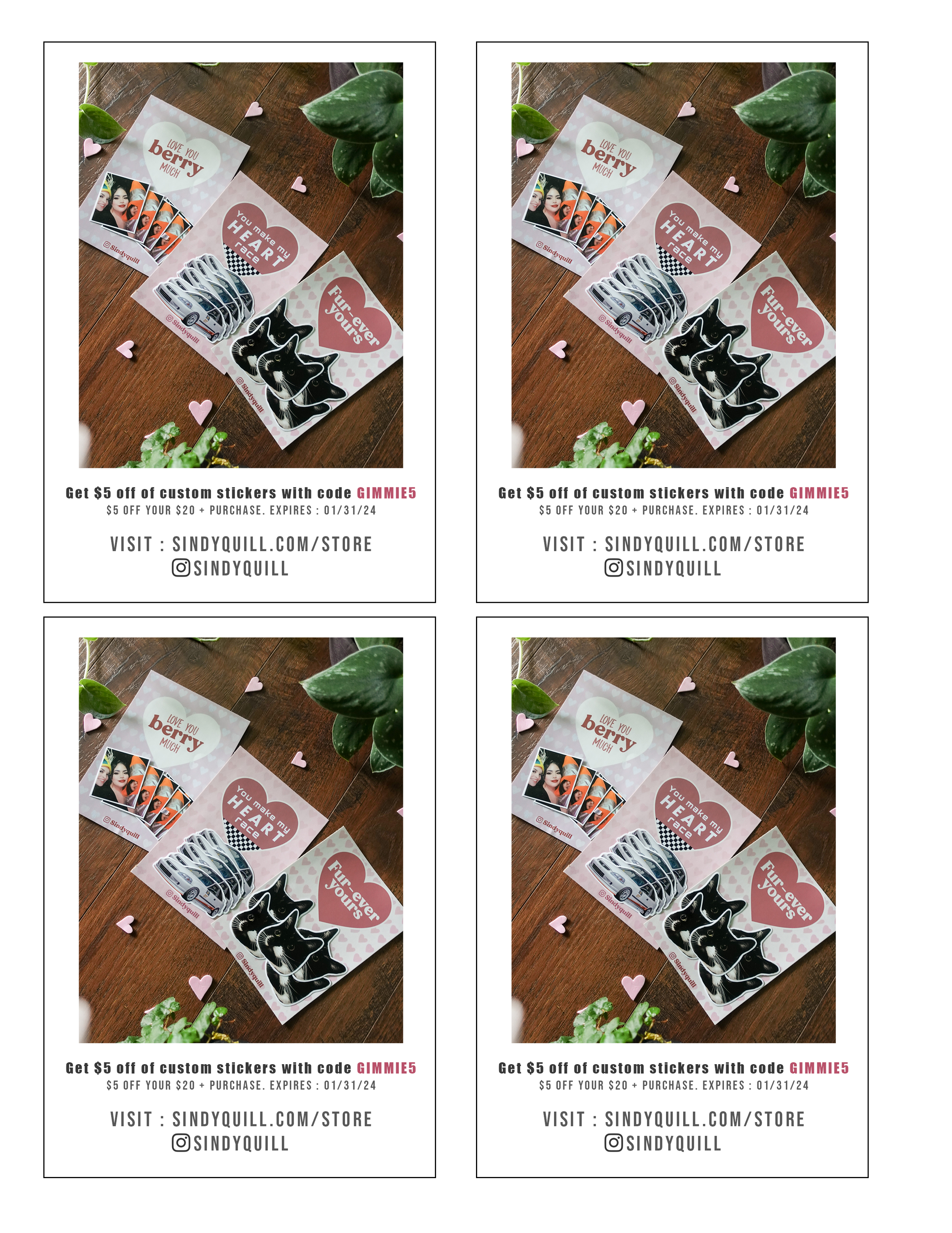 flyer.png