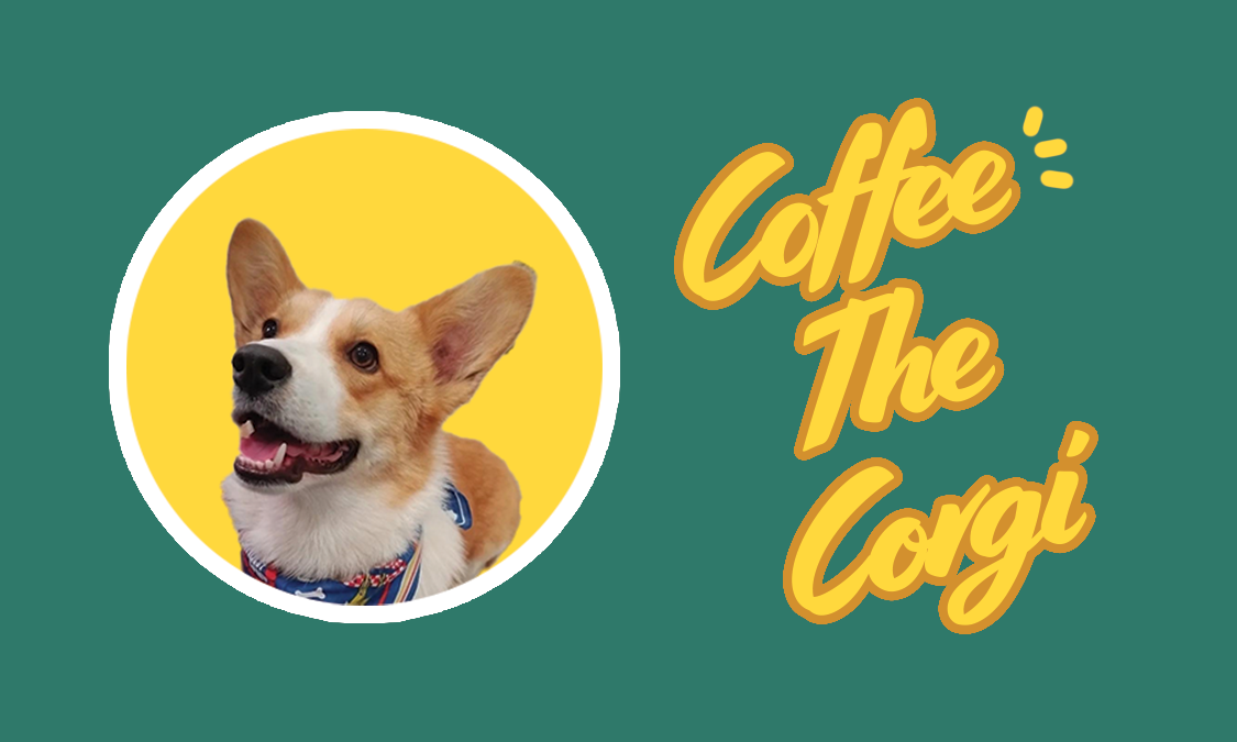 cOFFEE YJE cORGI BCK.png