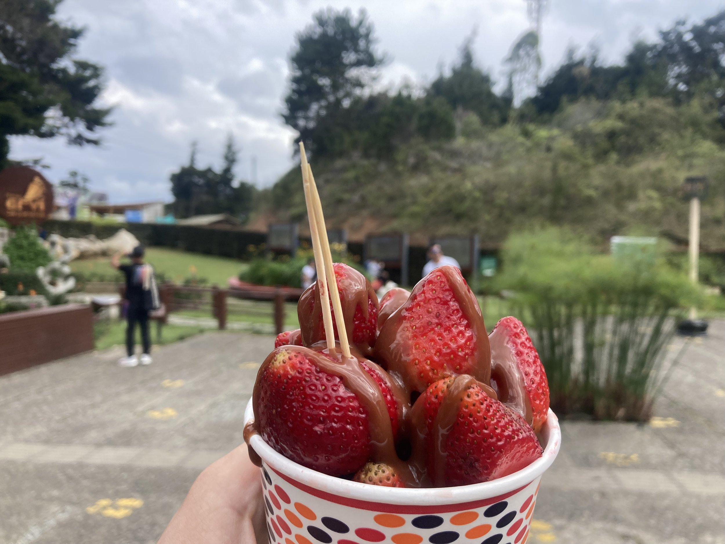 strawbsandchcolate.jpg