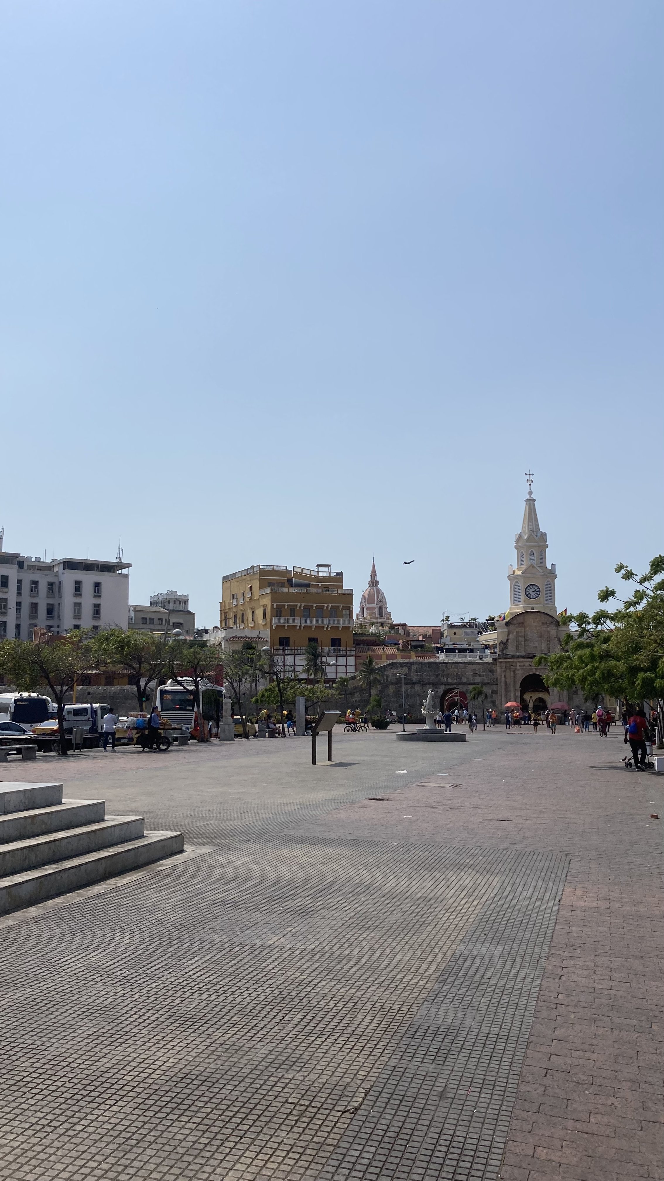 IMG_8890.jpg