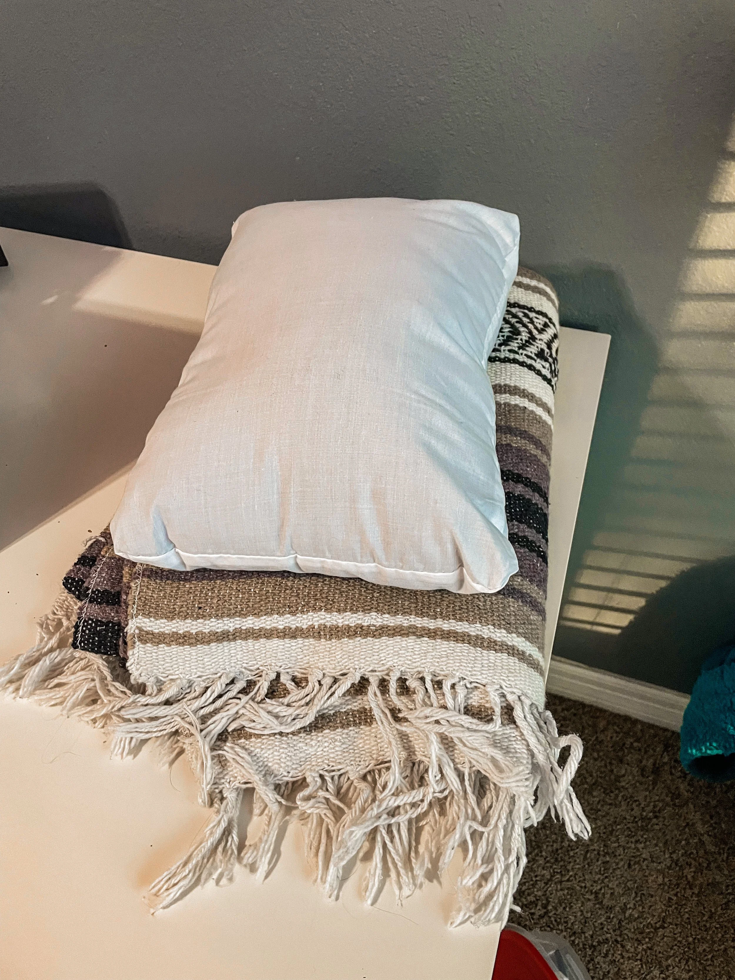 Travel pillow and blanket