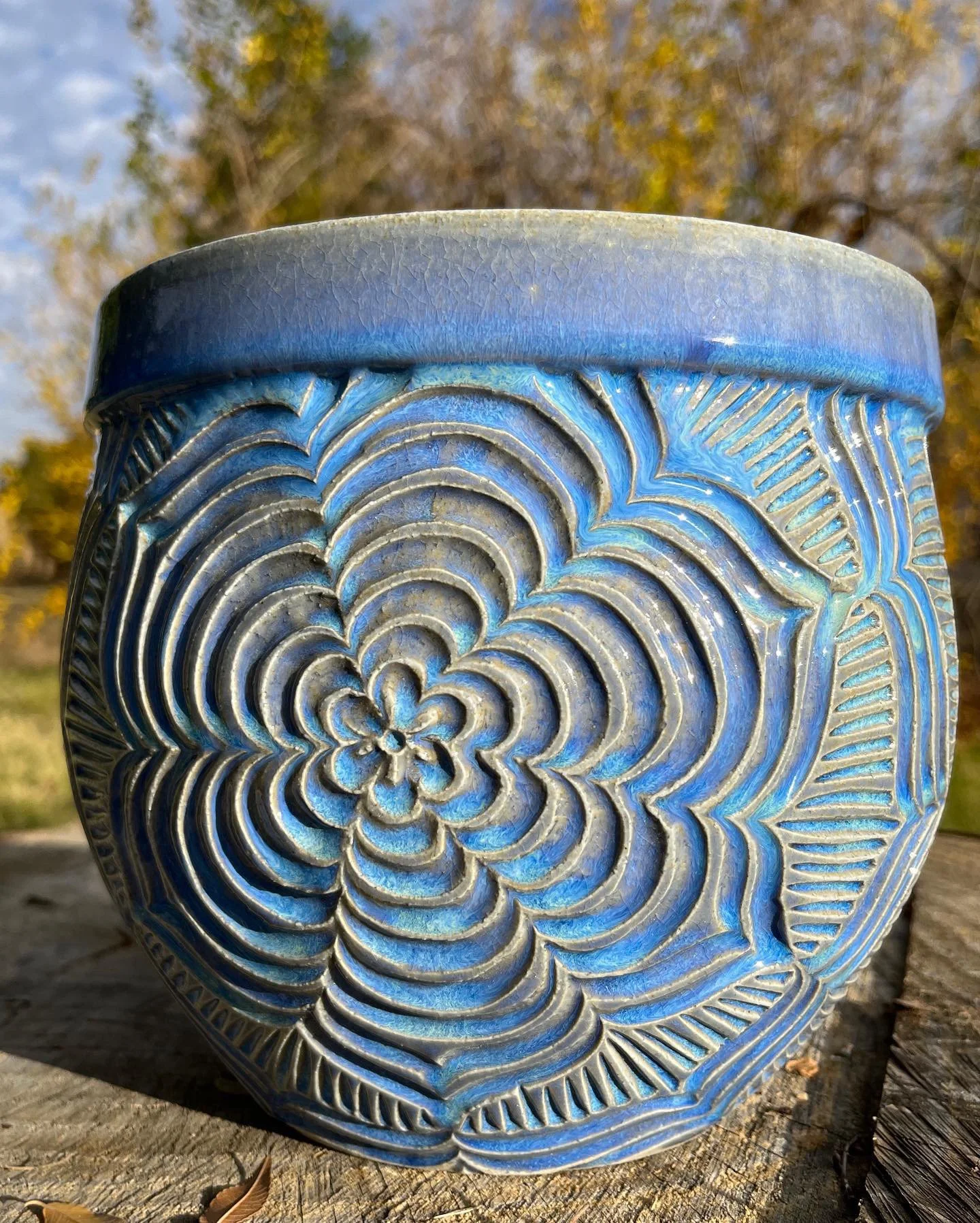 6F44CEB0-3F91-43F6-8615-4E39E63D8F4E 2.JPG