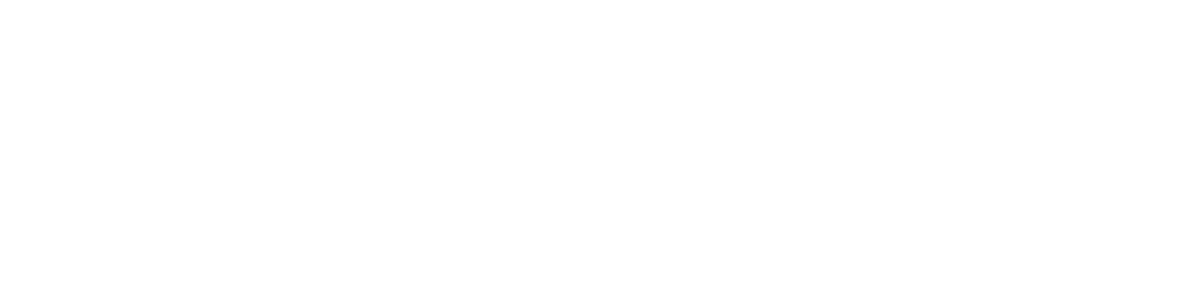 L I AM THE BRAND