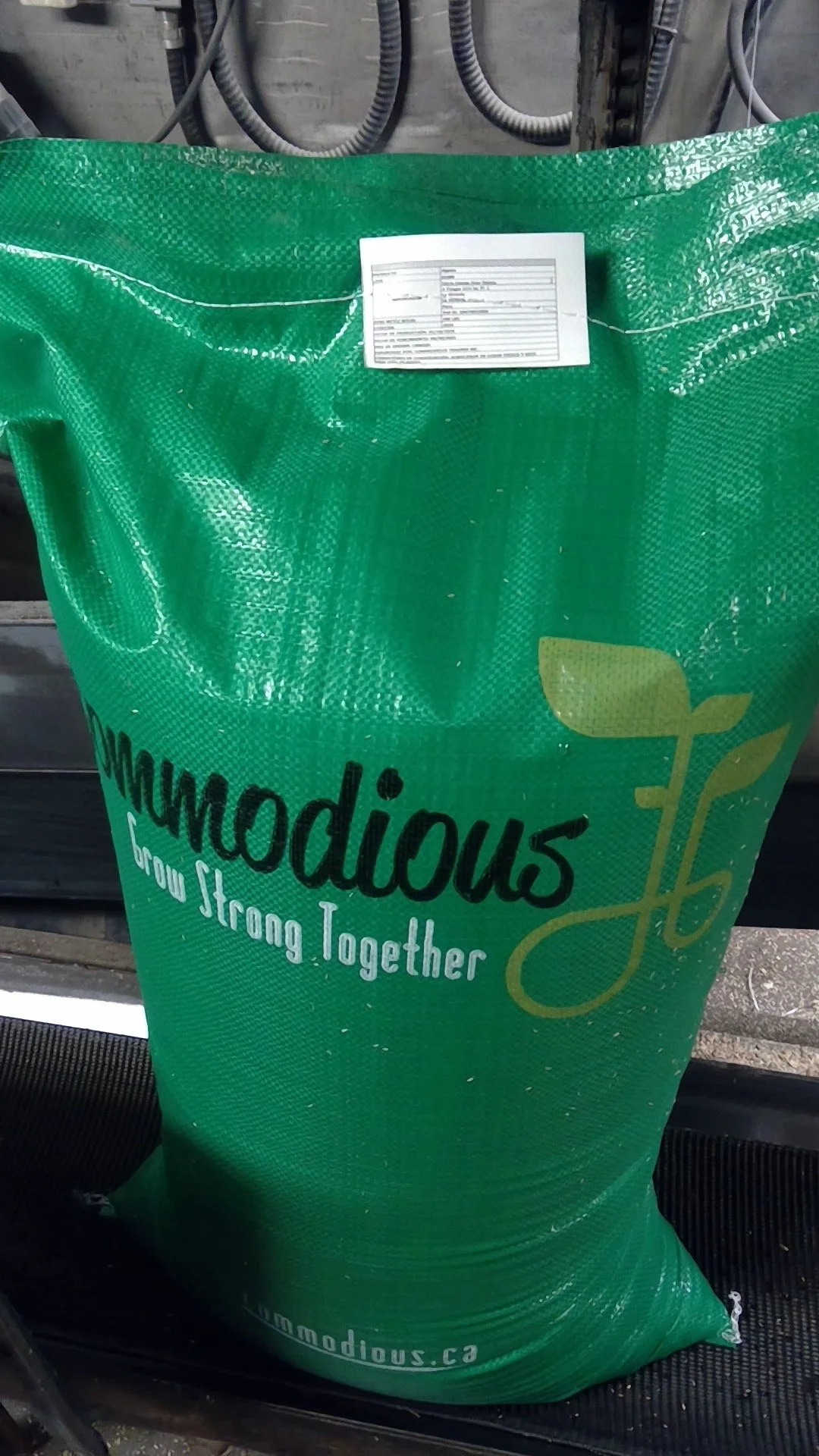 LoadedBag-Commodious.jpeg