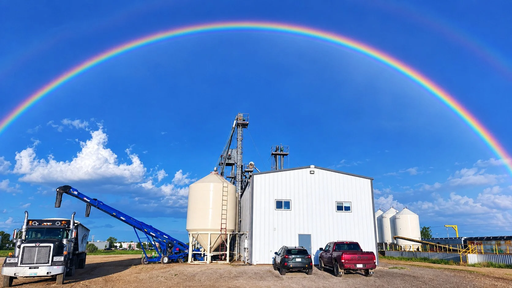 Rainbow over plant 2.jpg