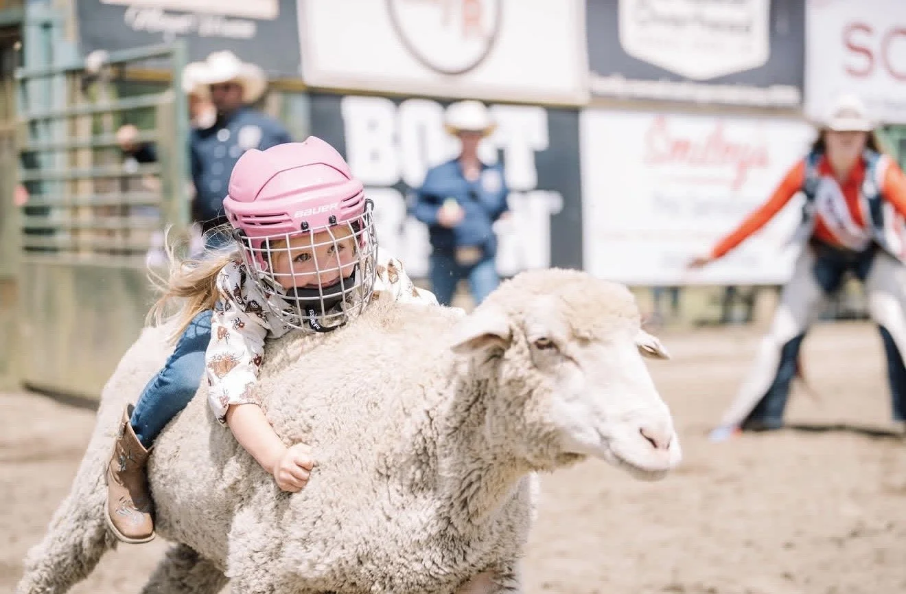 Tiny Cowboys, Big Lessons: The Courage to Hold On, The Courage to Let Go.