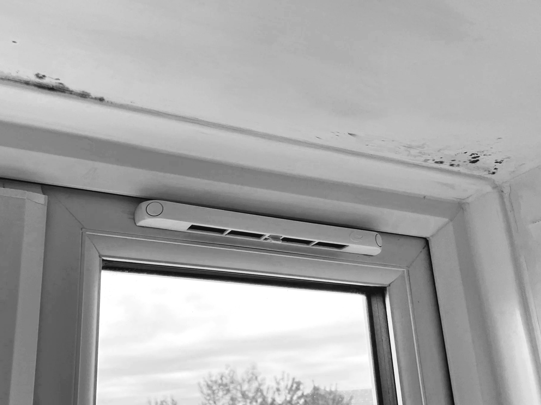 Black mould forming above a window frame due to condensation, photographed during a damp and mould compliance inspection under Awaab’s Law and HHSRS.