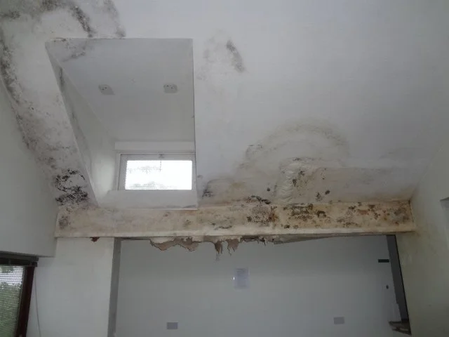 Severe mould growth and water damage visible on ceiling and beam caused by prolonged damp ingress.