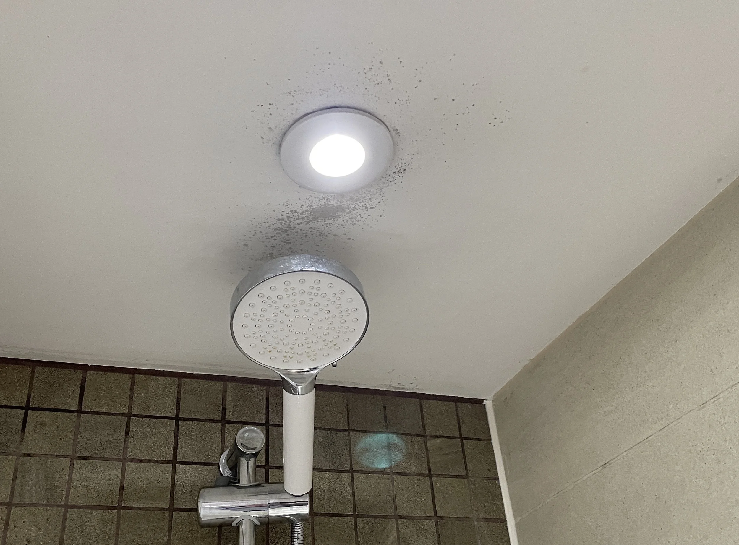 Bathroom ceiling mould above shower light – evidence of poor extract performance identified by Durndell Building Surveyors under Awaab’s Law, Milton Keynes