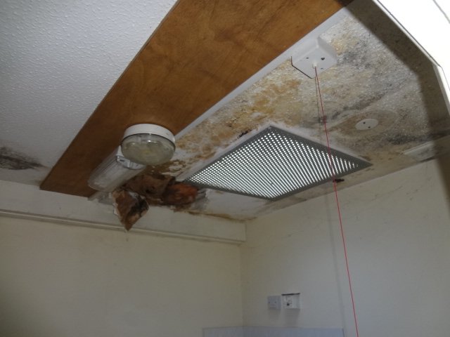 Collapsed ceiling and visible mould from prolonged dampness in kitchen area.