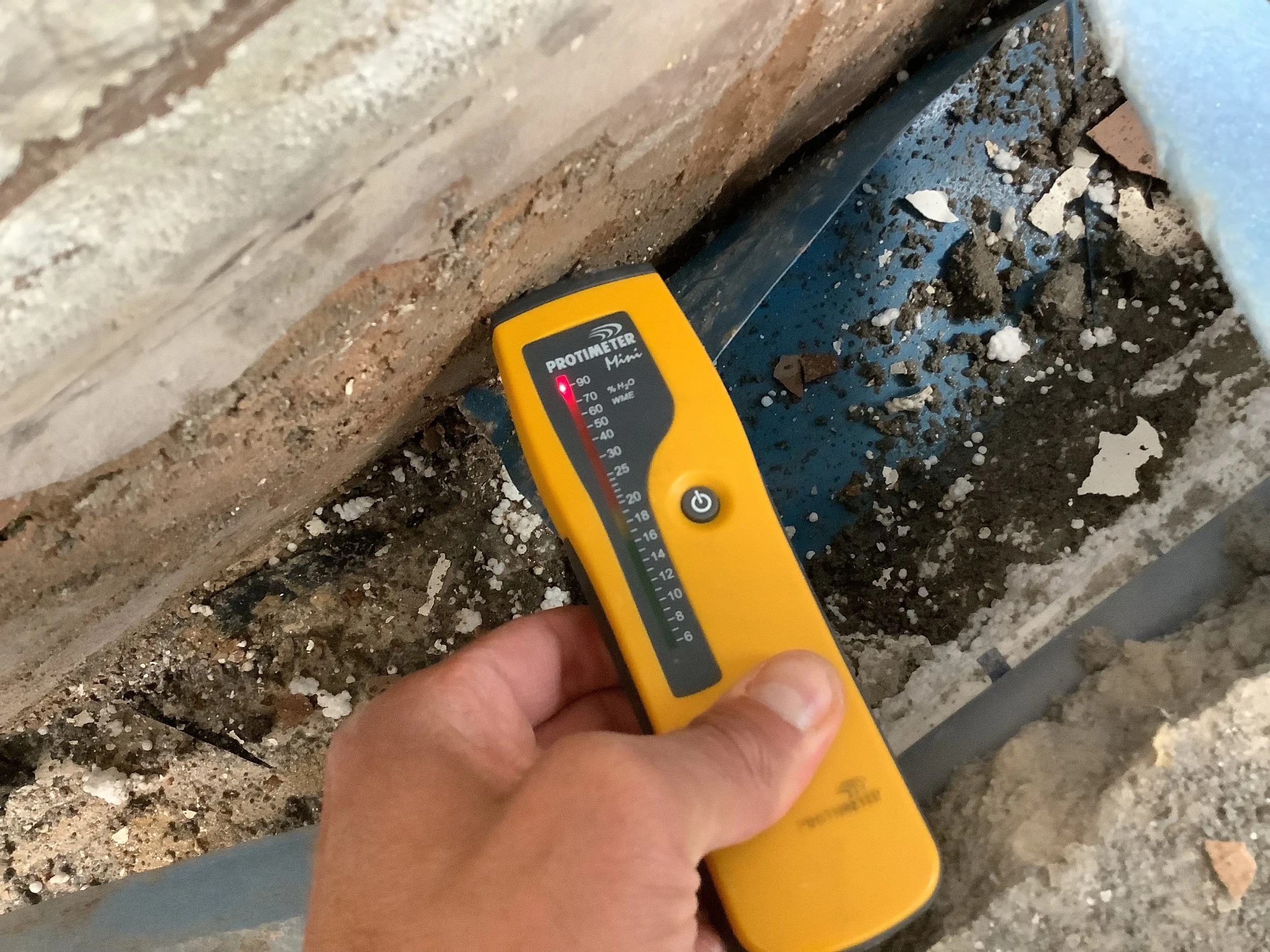 Moisture reading taken at wall base confirming high damp levels where DPM and DPC were installed at same level during school extension investigation – Durndell Building Surveyors, Milton Keynes.