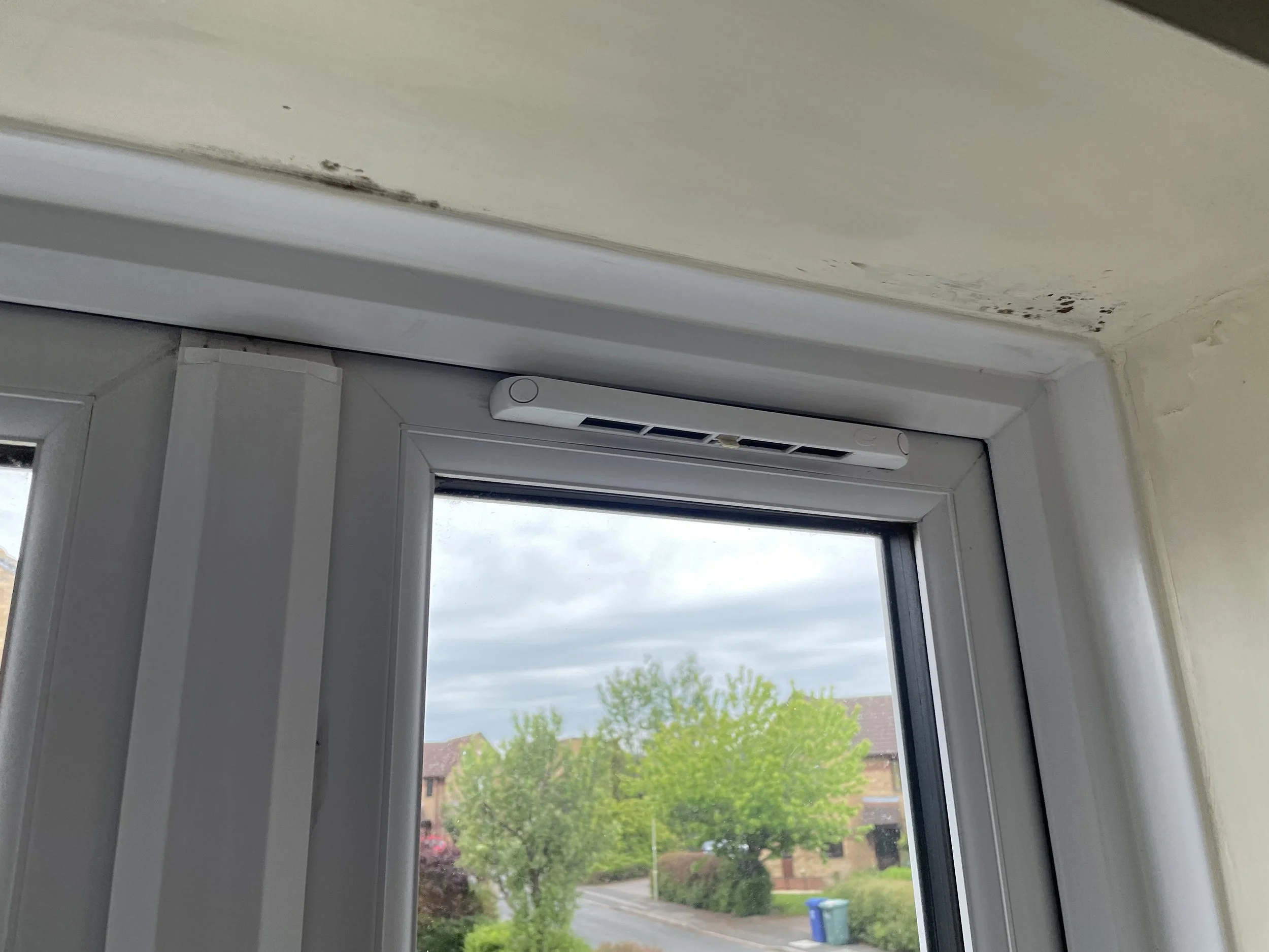 Mould growth at upper corner of window reveal – condensation issue documented in Awaab’s Law compliance survey, Milton Keynes