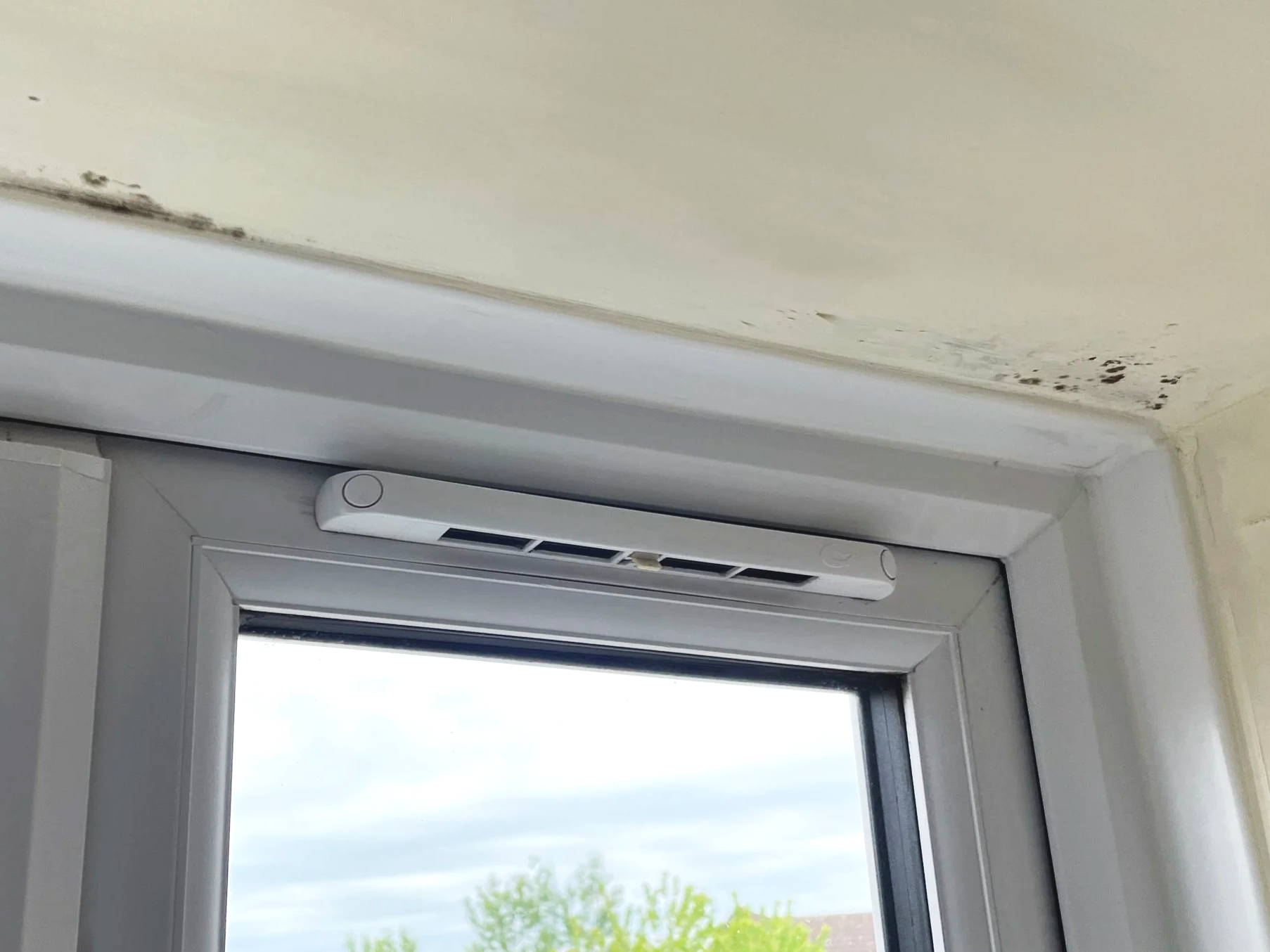 Black mould forming above a window frame due to condensation, photographed during a damp and mould compliance inspection under Awaab’s Law and HHSRS.