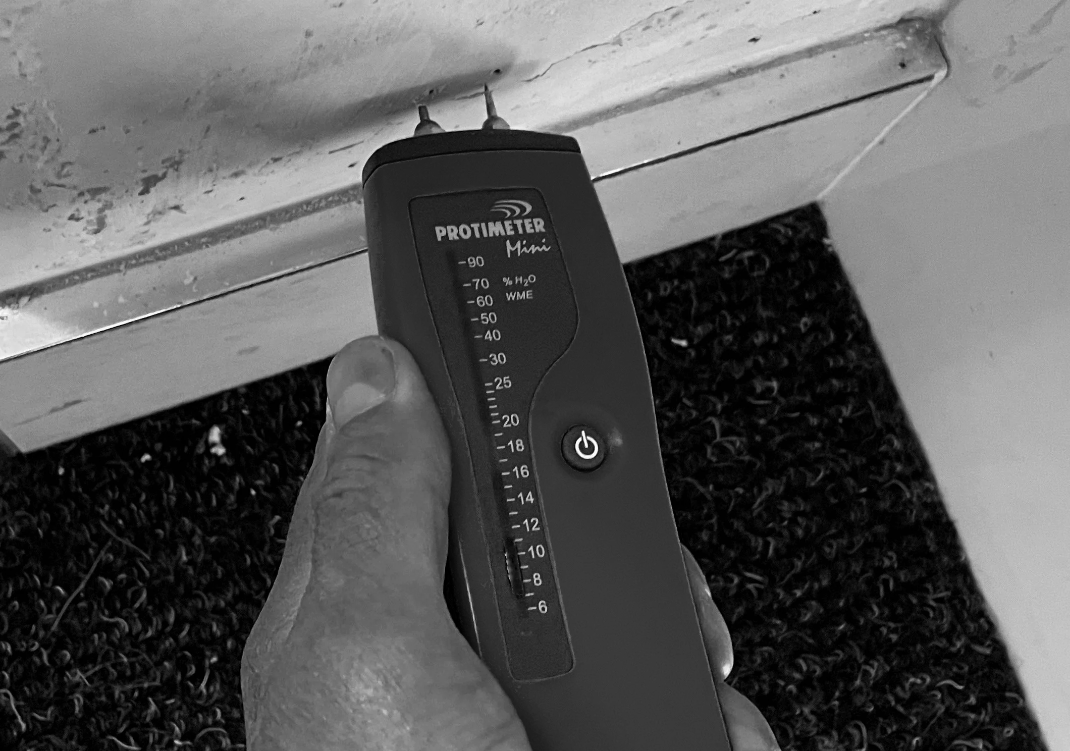Chartered Building Surveyor using a Protimeter moisture meter to record damp readings during a professional damp and mould inspection.