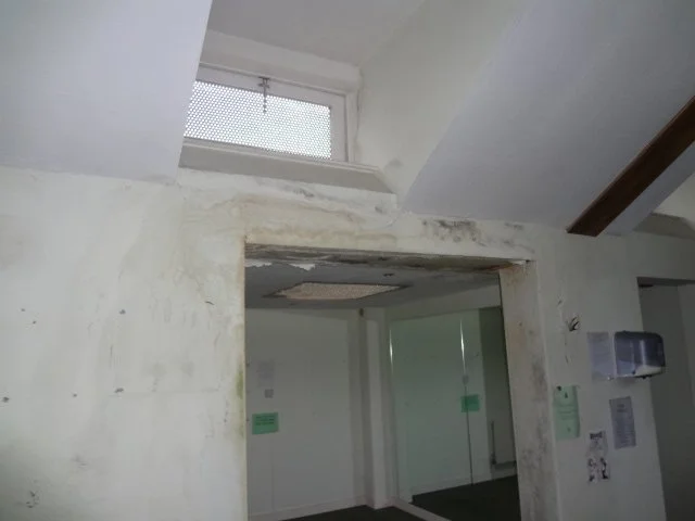 Mould and staining around window reveal indicating long-term damp penetration.