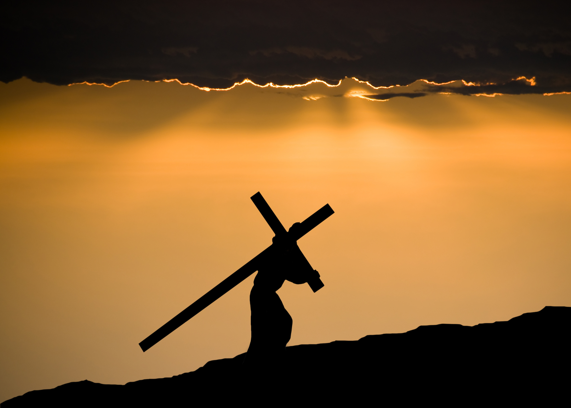 Christ Formed in Us