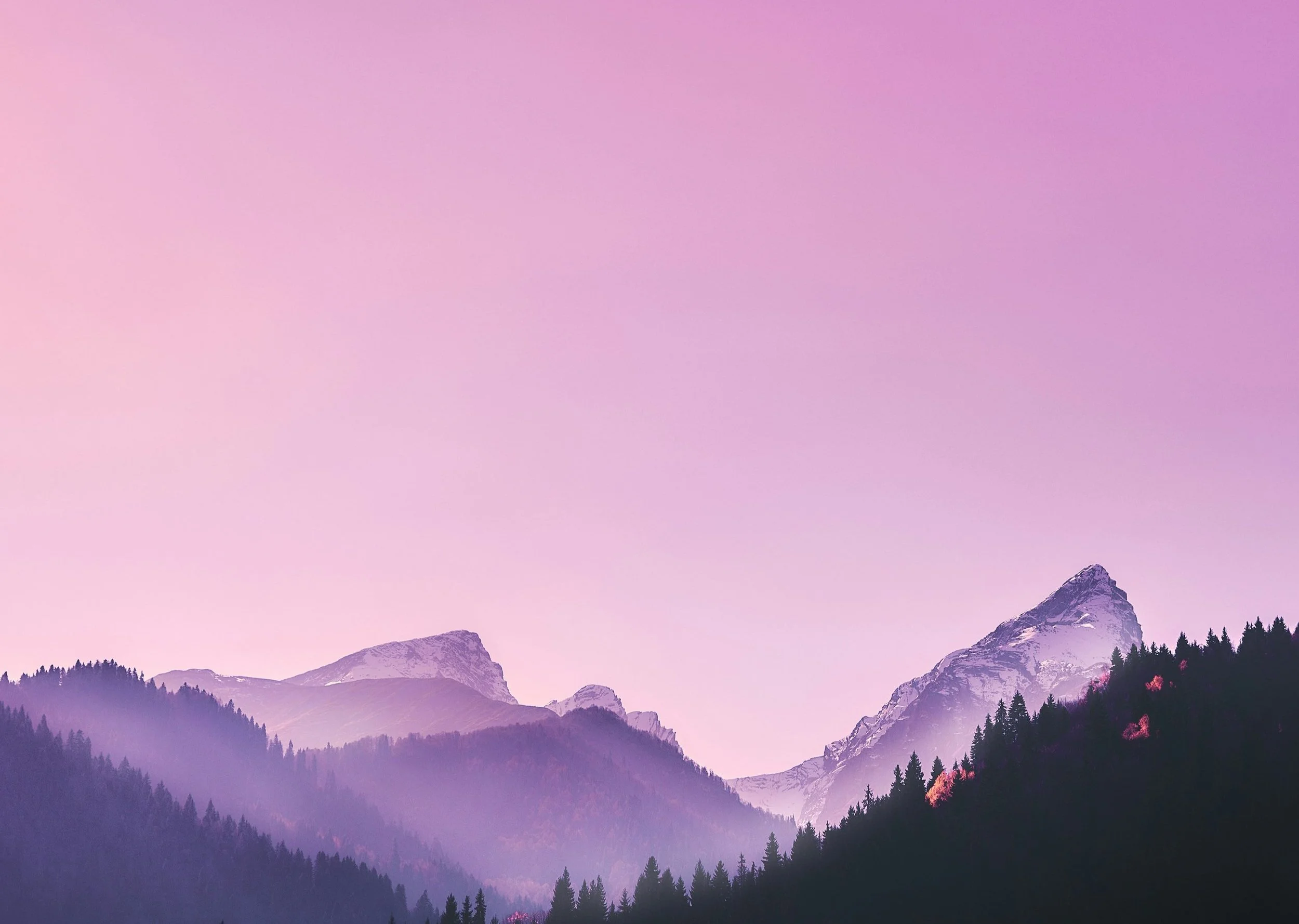 Trusting God’s Word