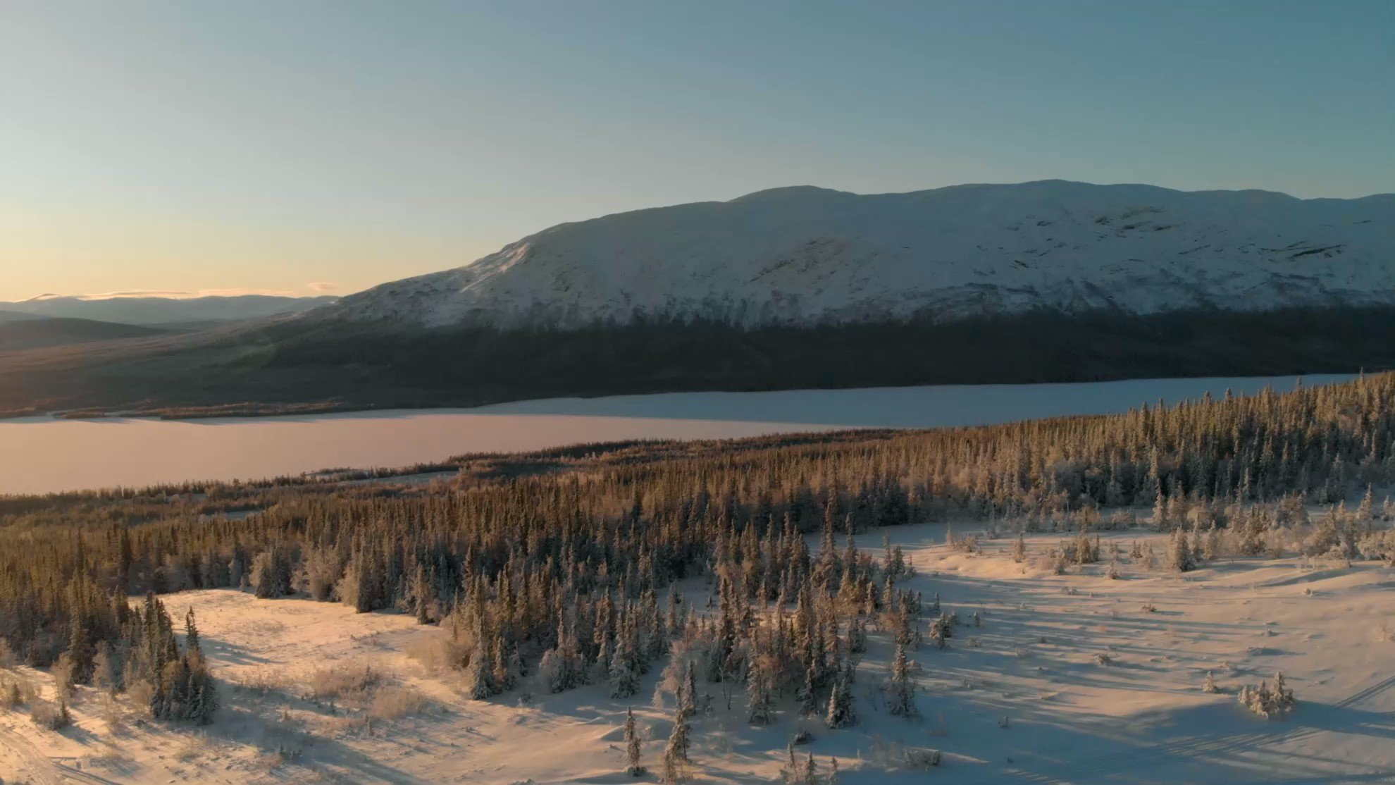 Swedish Biathlon Federation