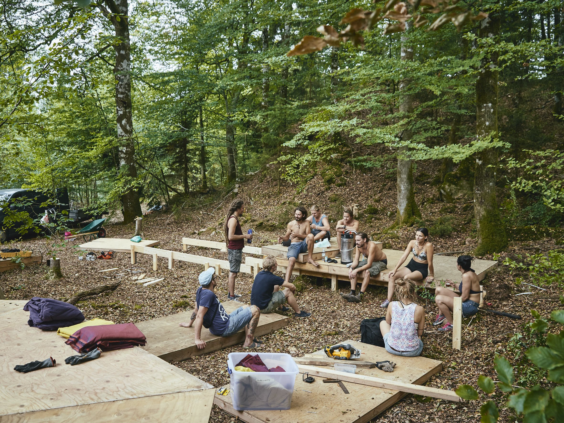 stedsans_in_the_woods_200.jpg