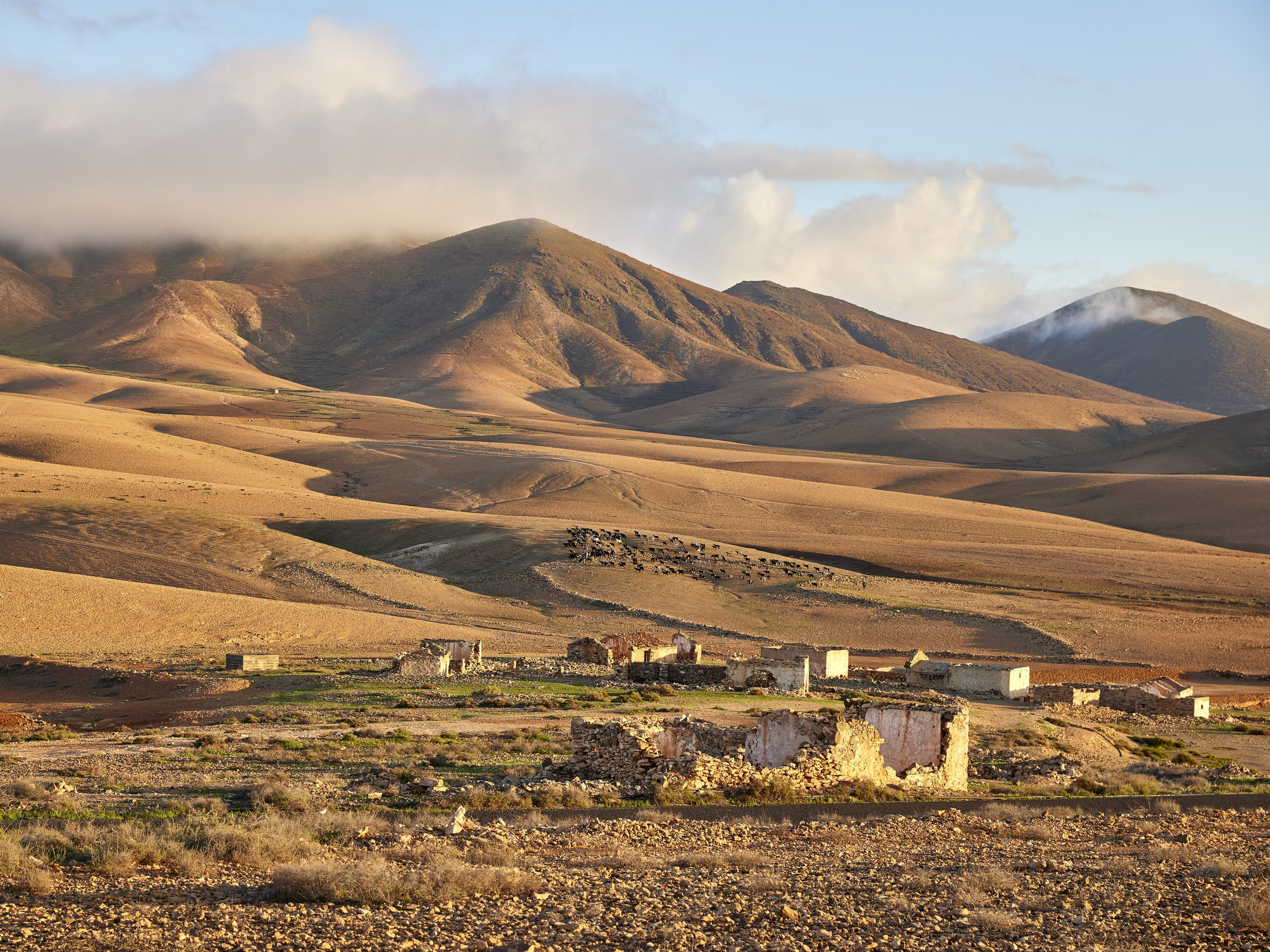 Fuerteventura_2022_724.jpg