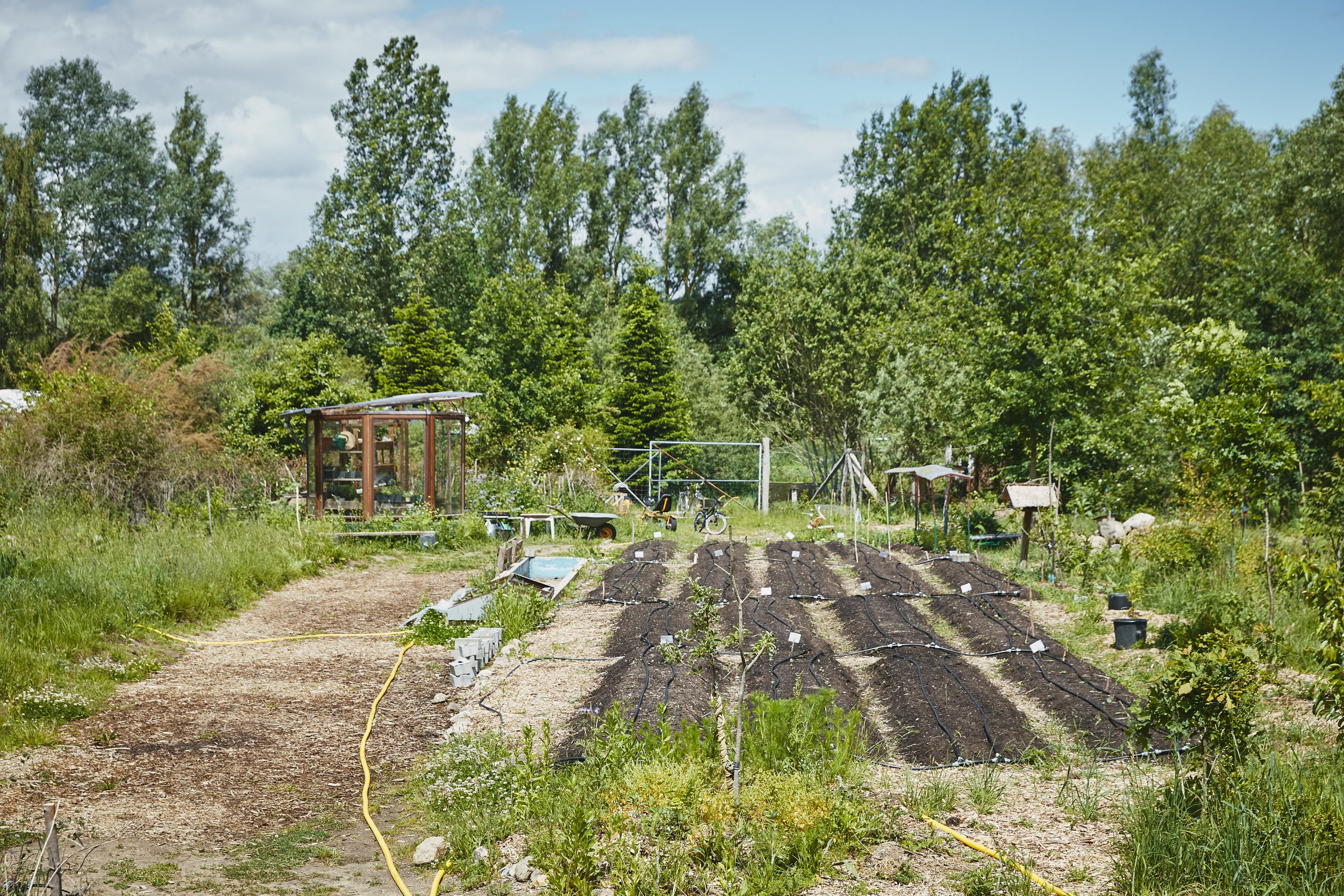 Waldgarten_WirbauenZukunft_234.jpg