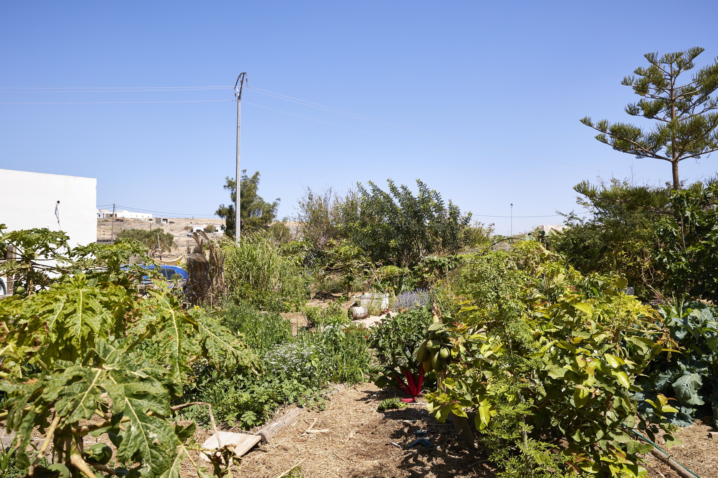 Fuerte_an_Stabschef_025.jpg