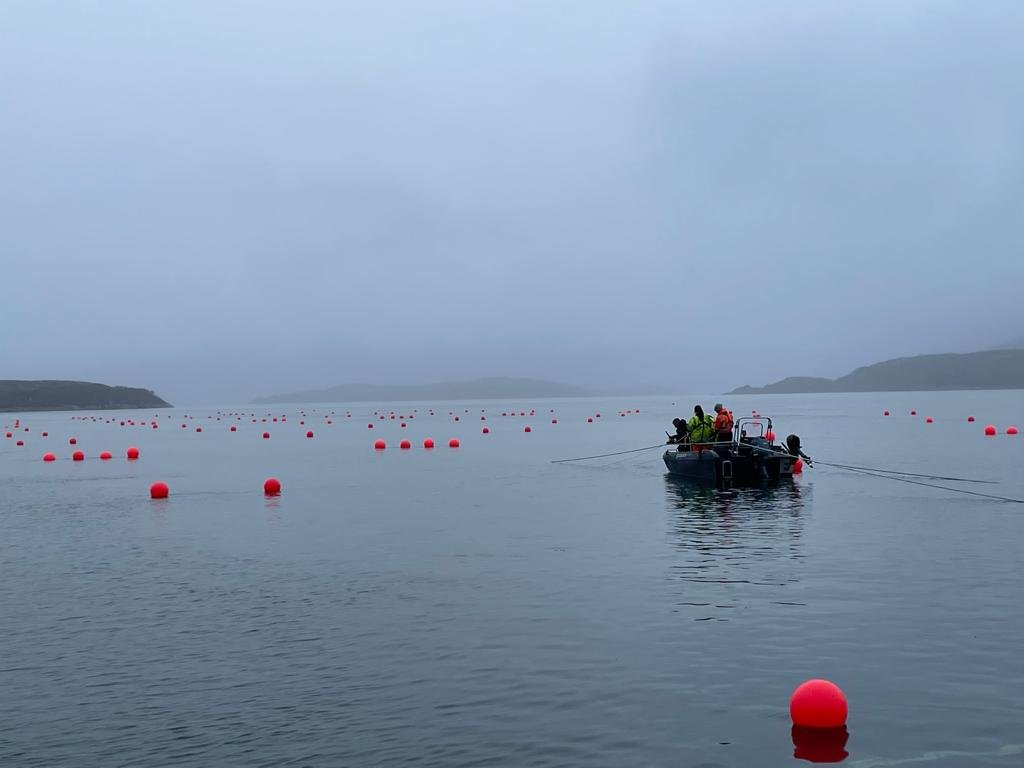 Atlantic Mariculture