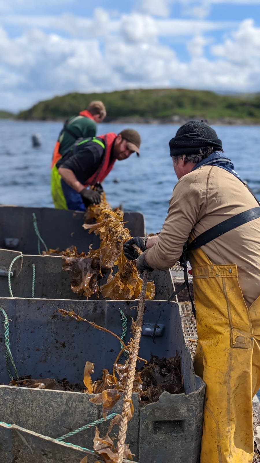 Our Farms — Atlantic Mariculture